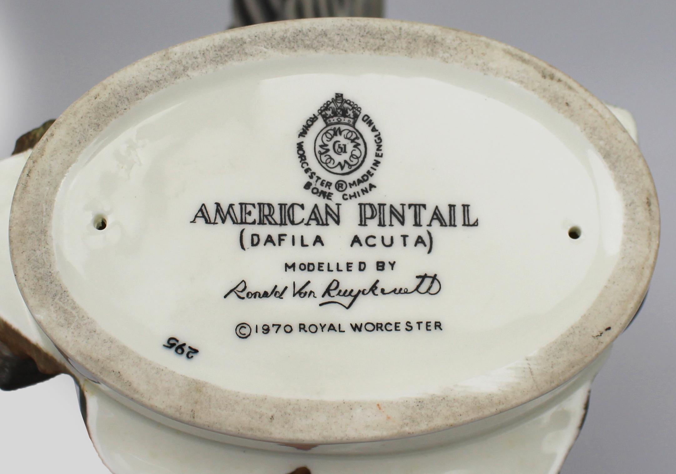 Royal Worcester ‘American Pintail’ by Ronald van Ruyckevelt, 1970 For Sale 5