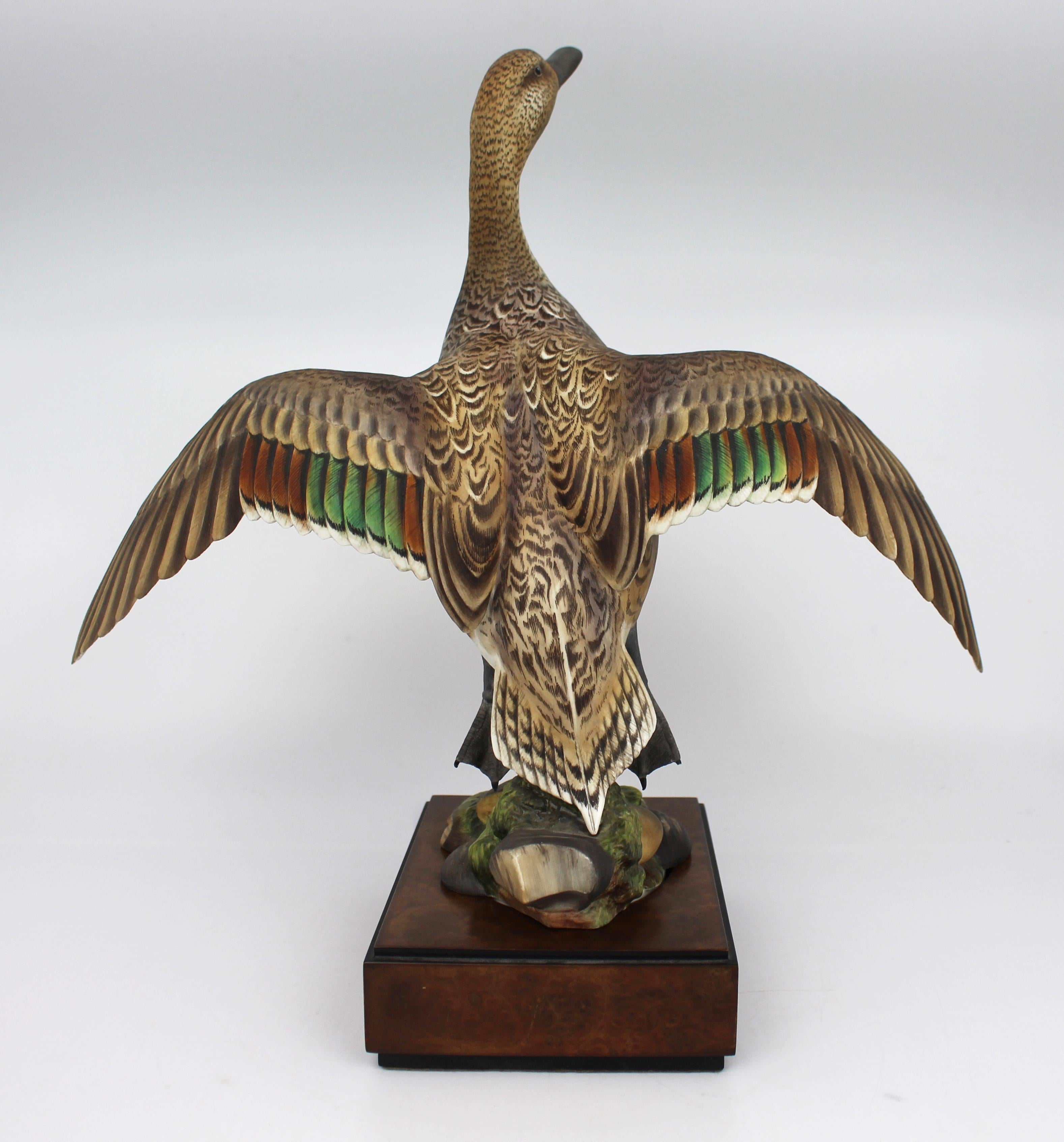 Royal Worcester 'Amerikanische Spießente' von Ronald van Ruyckevelt, 1970 im Angebot 10