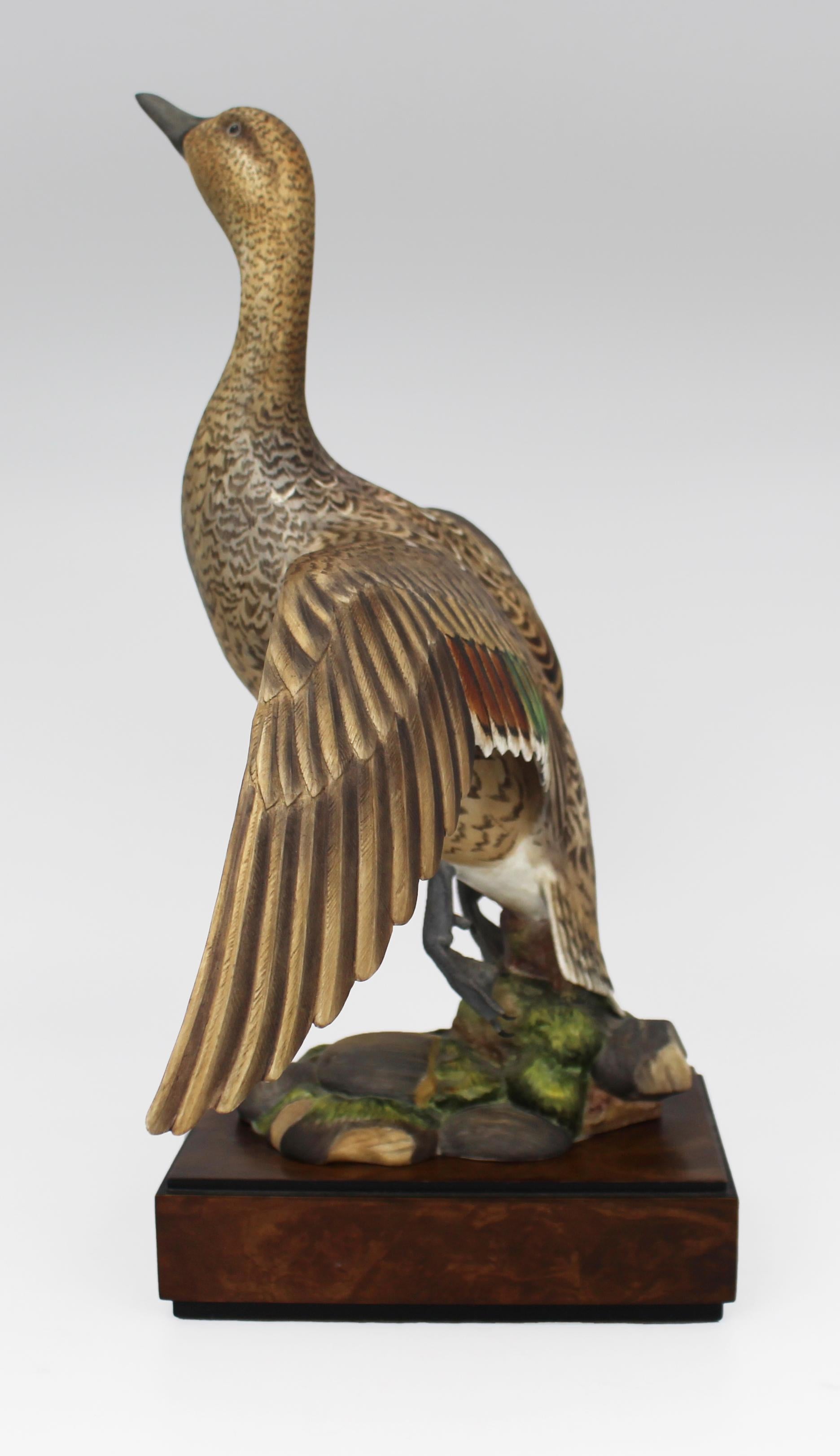 Royal Worcester 'Amerikanische Spießente' von Ronald van Ruyckevelt, 1970 im Angebot 11