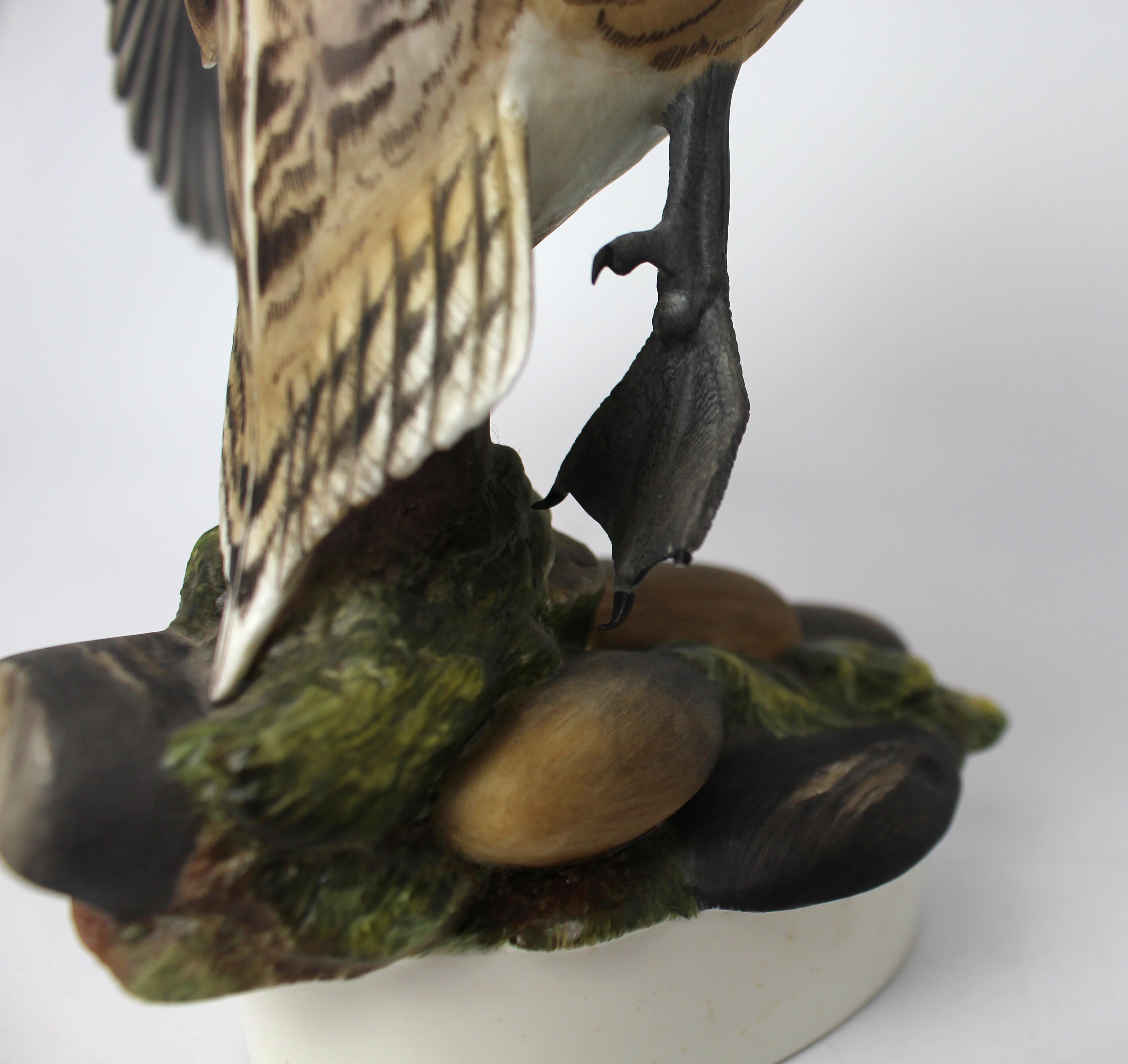 Royal Worcester 'Amerikanische Spießente' von Ronald van Ruyckevelt, 1970 im Angebot 12