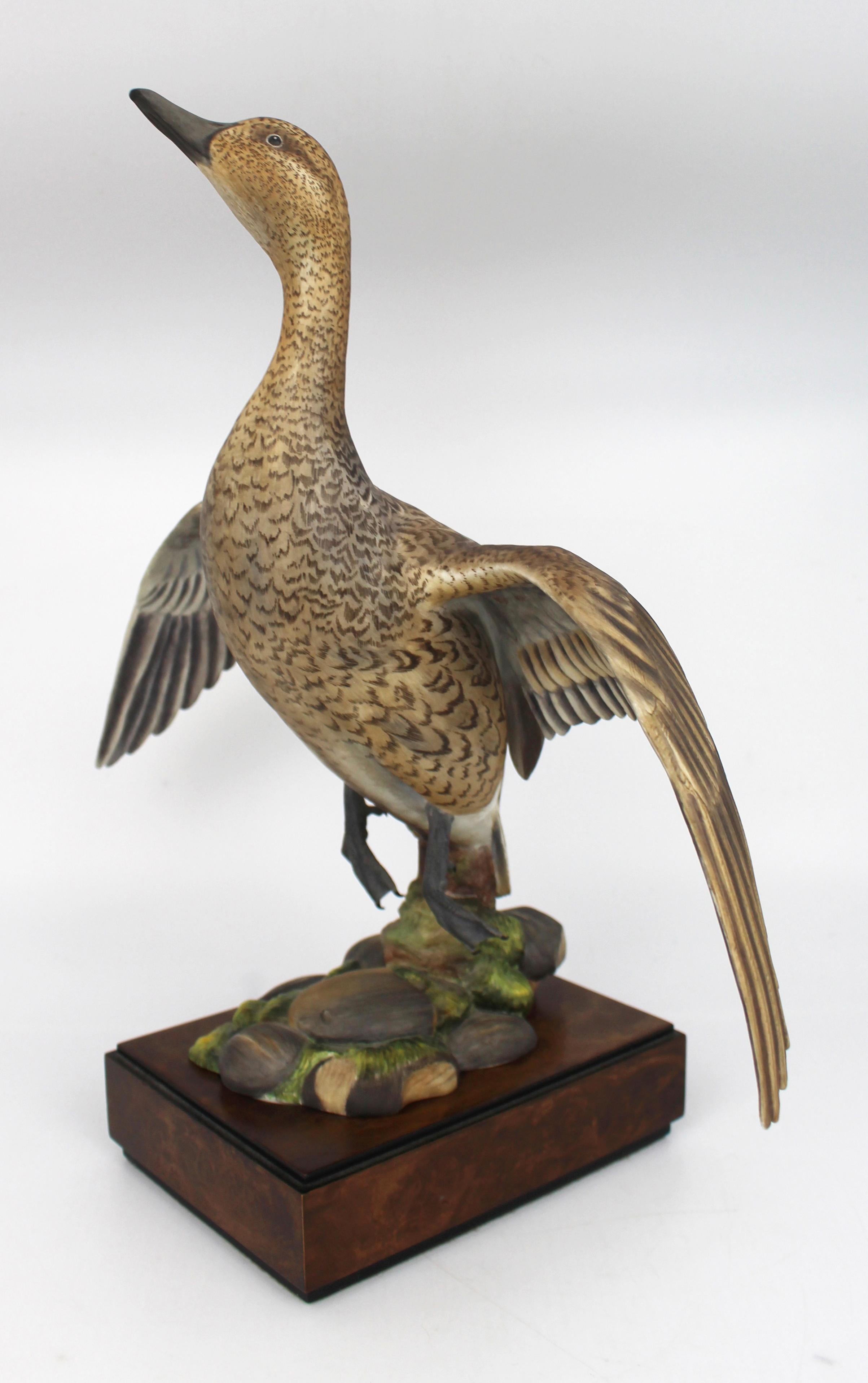 Royal Worcester ‘American Pintail’ by Ronald van Ruyckevelt, 1970

A finely detailed porcelain model of an American Pintail (Dafila acuta), produced by Royal Worcester and modelled by acclaimed sculptor Ronald van Ruyckevelt. Dated 1970 and numbered