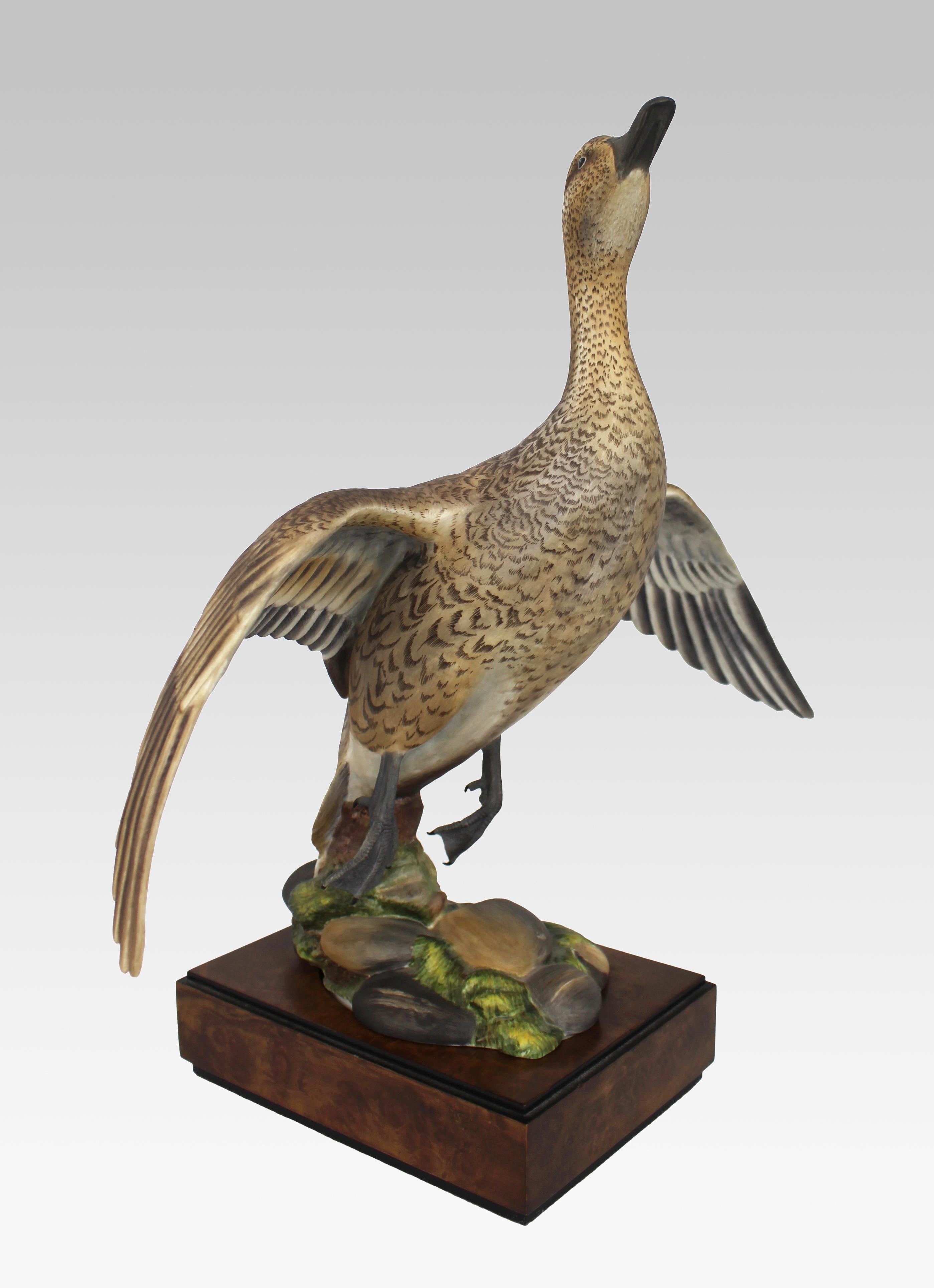 20th Century Royal Worcester ‘American Pintail’ by Ronald van Ruyckevelt, 1970 For Sale