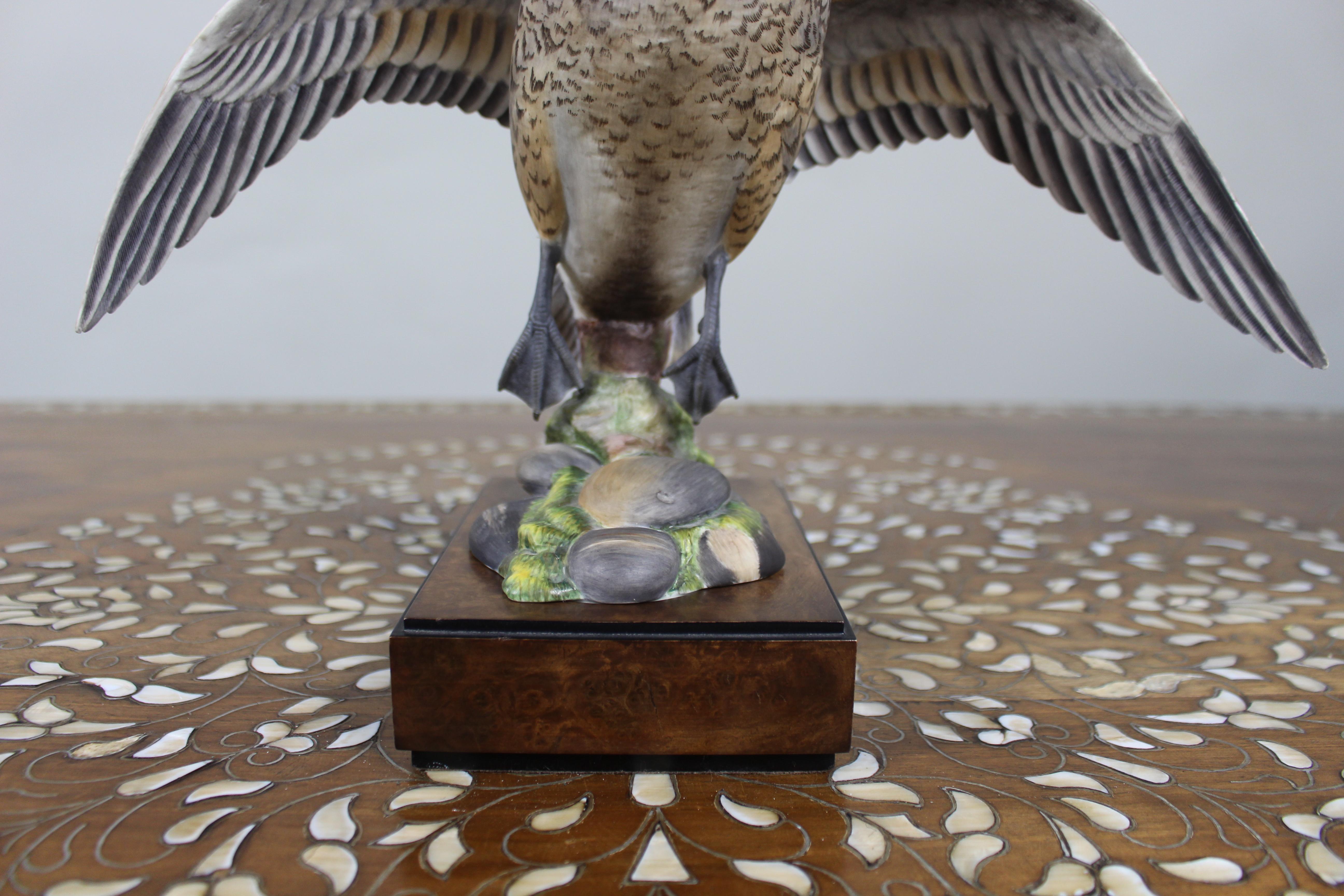 Royal Worcester 'Amerikanische Spießente' von Ronald van Ruyckevelt, 1970 (20. Jahrhundert) im Angebot