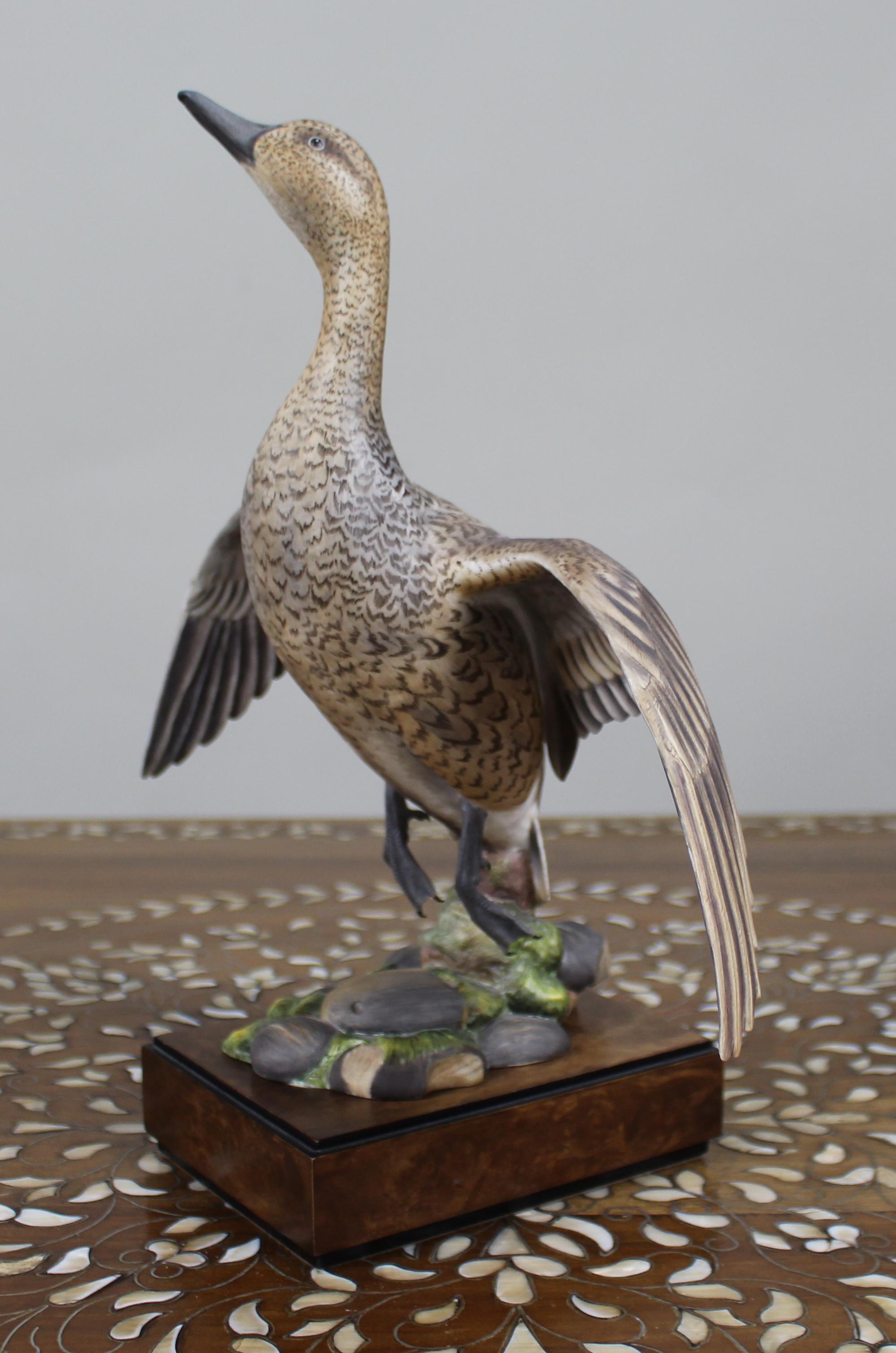 Royal Worcester 'Amerikanische Spießente' von Ronald van Ruyckevelt, 1970 (Porzellan) im Angebot