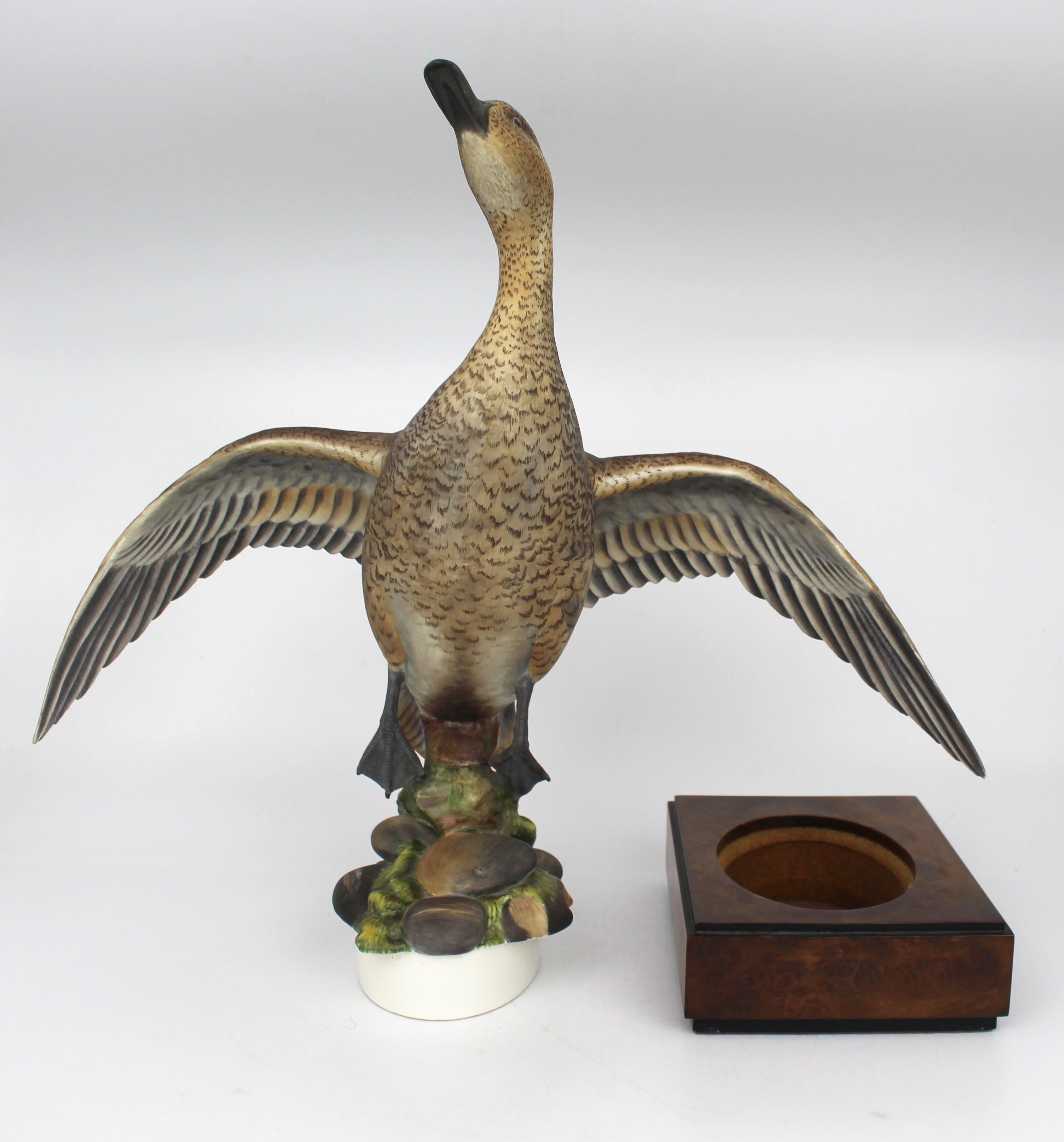 Royal Worcester ‘American Pintail’ by Ronald van Ruyckevelt, 1970 For Sale 4