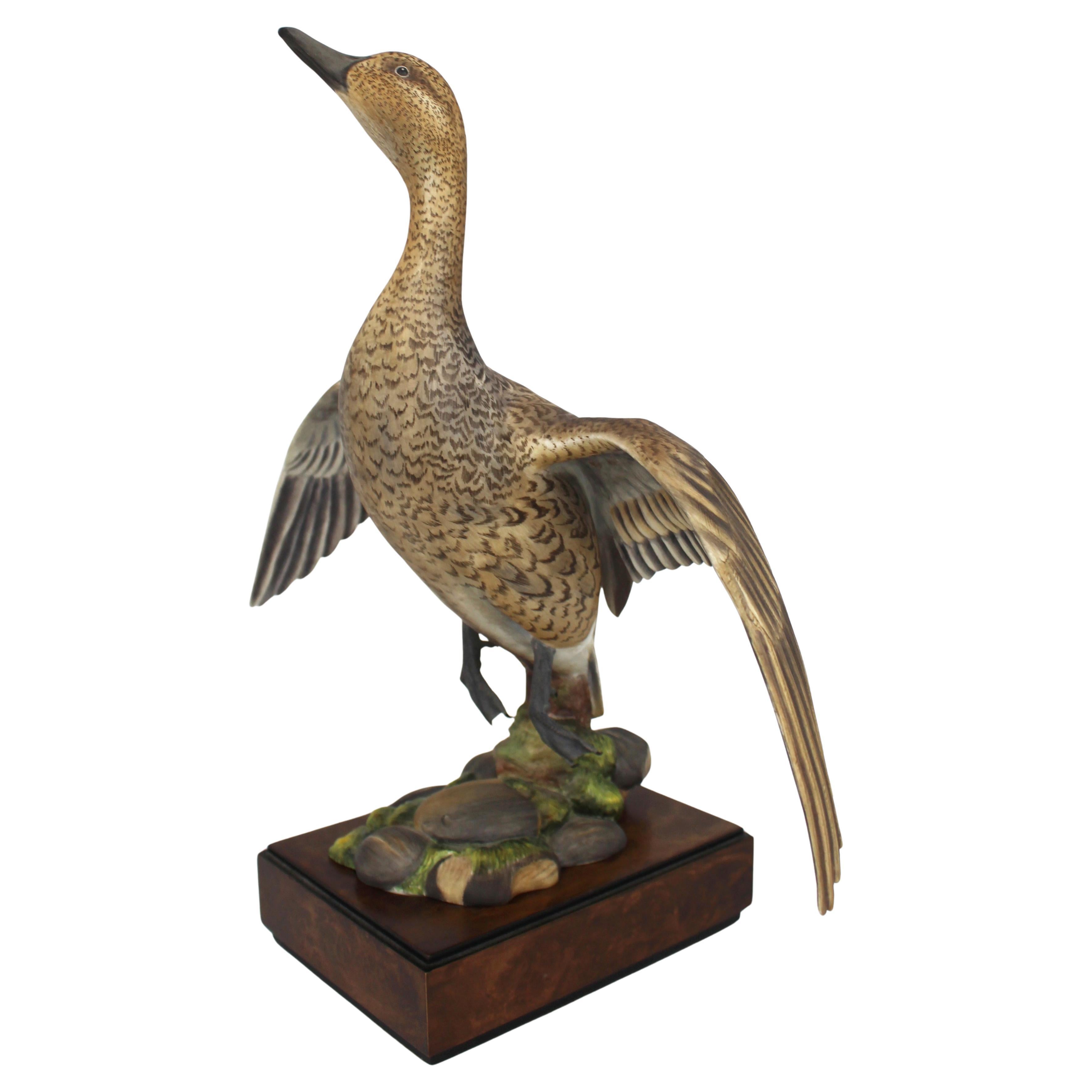 Royal Worcester ‘American Pintail’ by Ronald van Ruyckevelt, 1970 For Sale