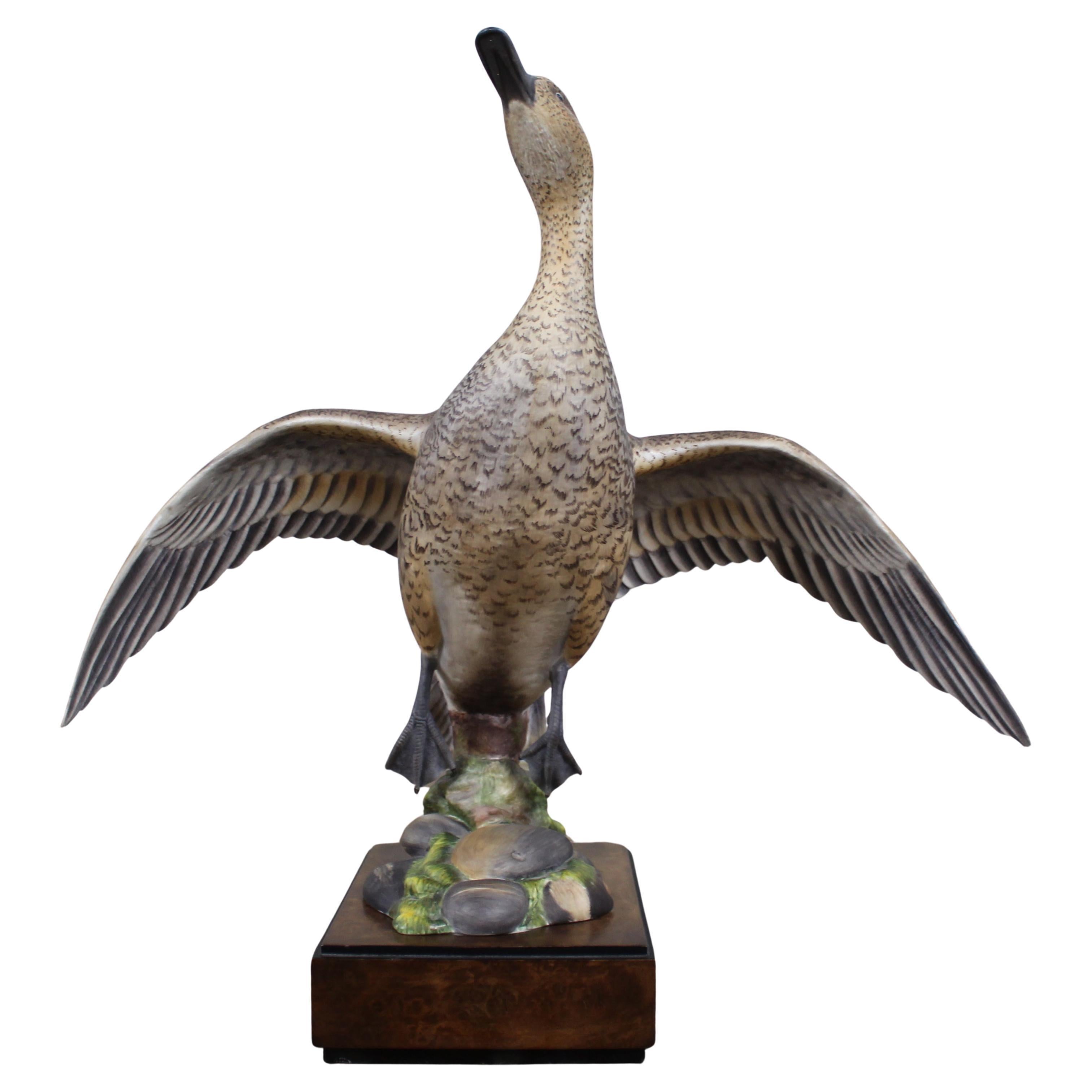 Royal Worcester 
Amerikanische Spießente
 von Ronald van Ruyckevelt, 1970 im Angebot