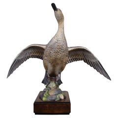 Royal Worcester
American Pintail
par Ronald van Ruyckevelt, 1970