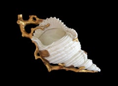 ROYAL WORCESTER - Repisa de pared antigua de porcelana con forma de concha - Reino Unido - Hacia 1881
