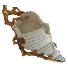 ROYAL WORCESTER - Repisa de pared antigua de porcelana con forma de concha - Reino Unido - Hacia 1881