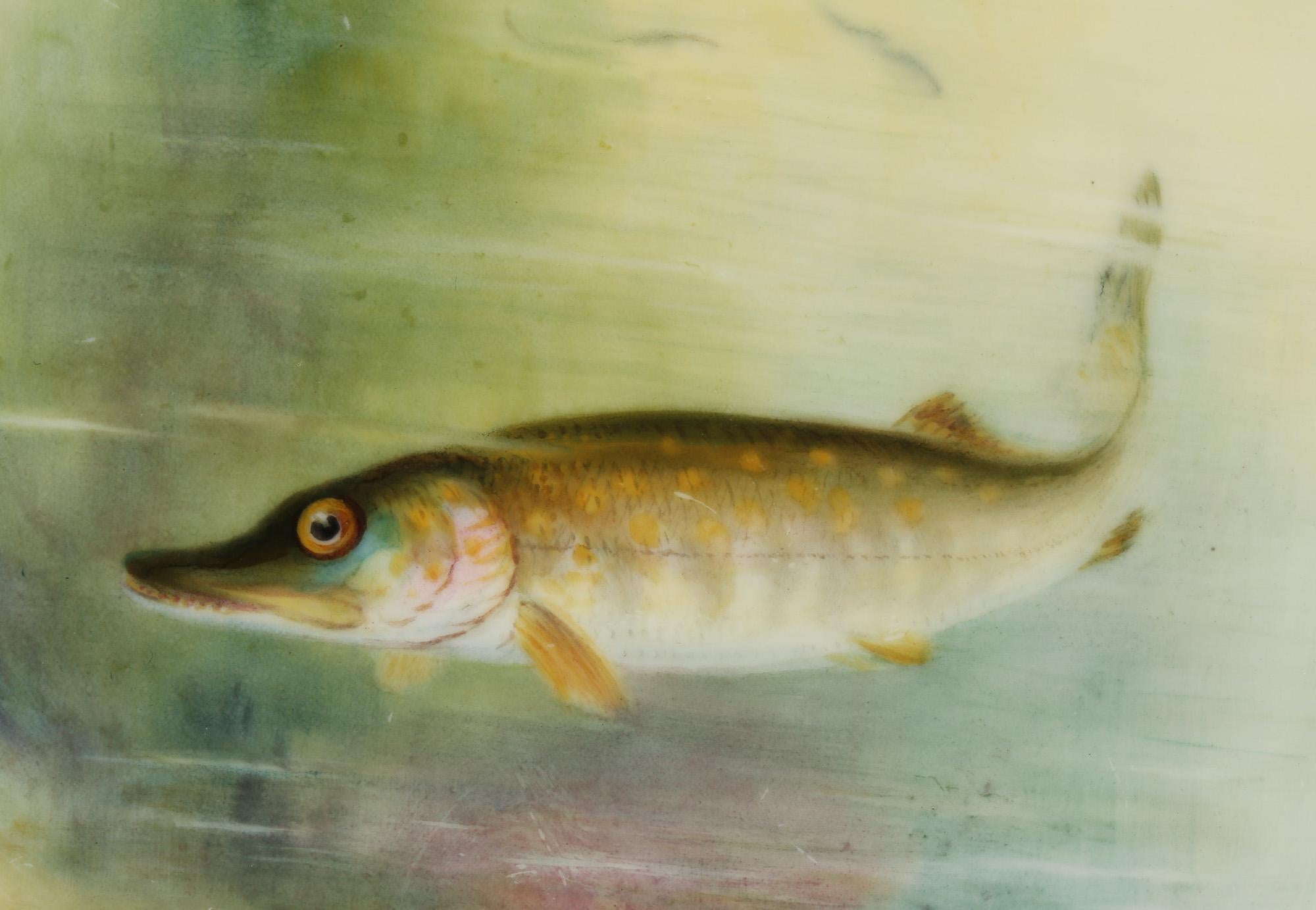 Royal Worcester Cabinet Plate Painted with a Pike by George B Johnson For Sale 1