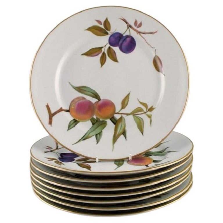 Royal Worcester, England. Eight Evesham Dinner Plates in Porcelain at
