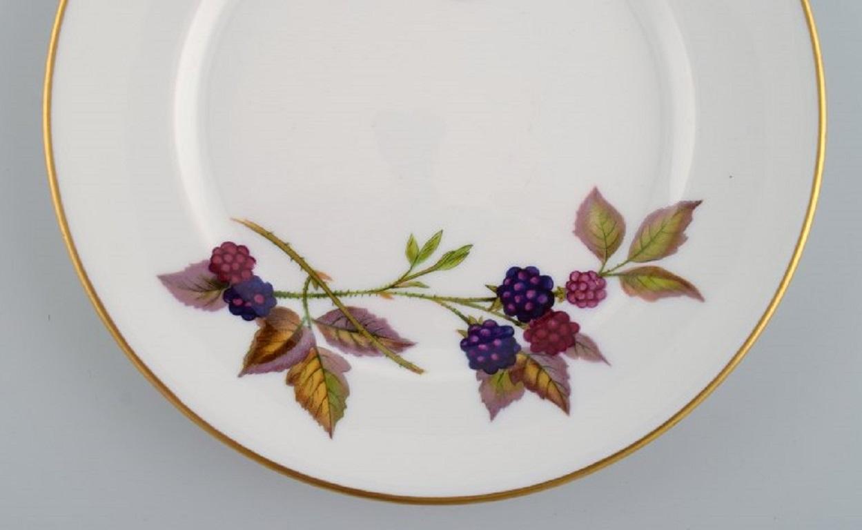 English Royal Worcester, England, Twelve Evesham Porcelain Plates Decorated with Fruits For Sale