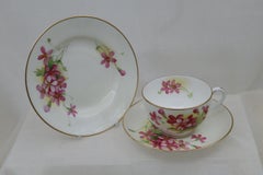 Royal Worcester hand painted cup, saucer and plate signed H Clare