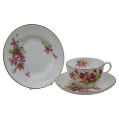 Royal Worcester hand painted cup, saucer and plate signed H Clare