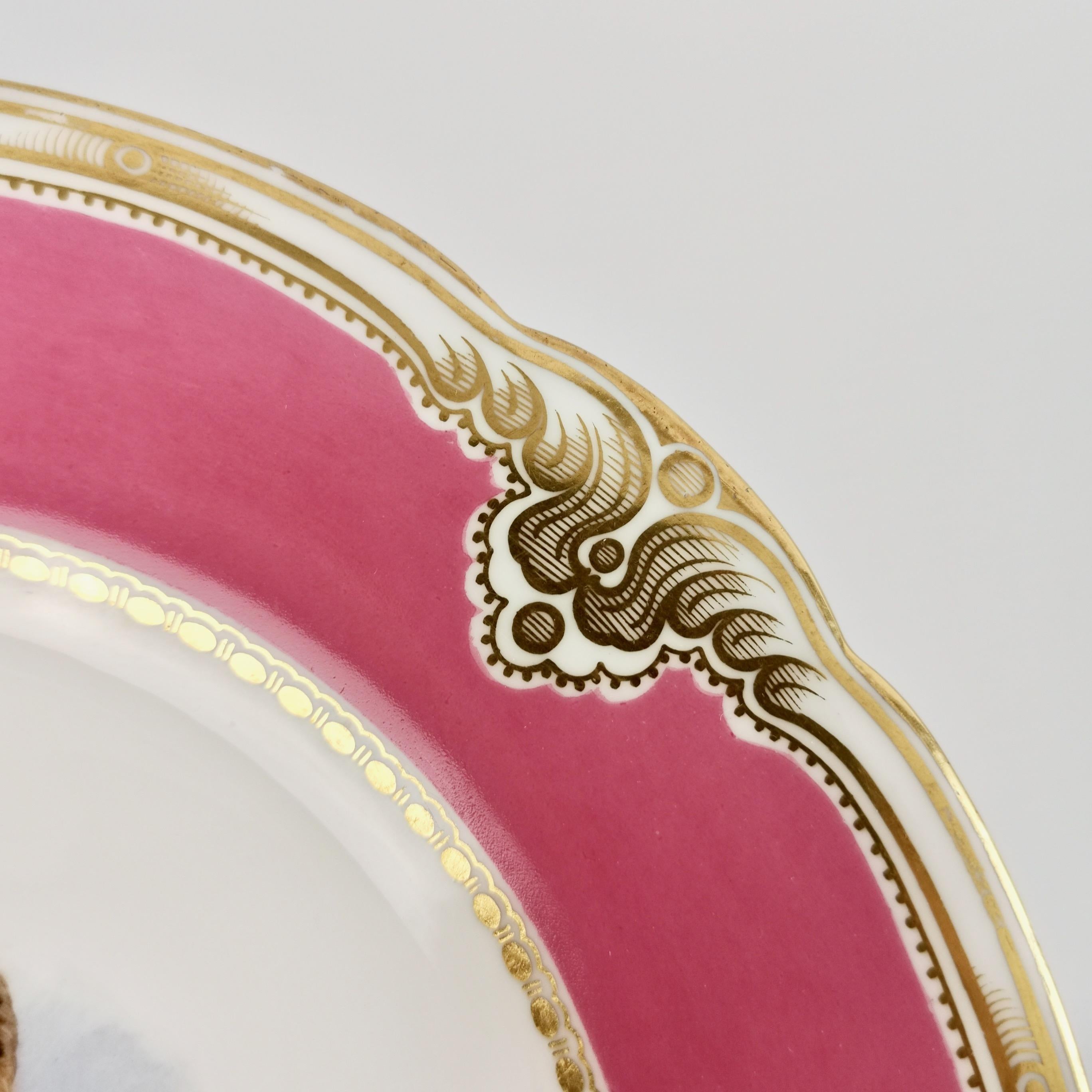 Royal Worcester Pair of Porcelain Comports, Pink with Named Birds, 1852-1862 3