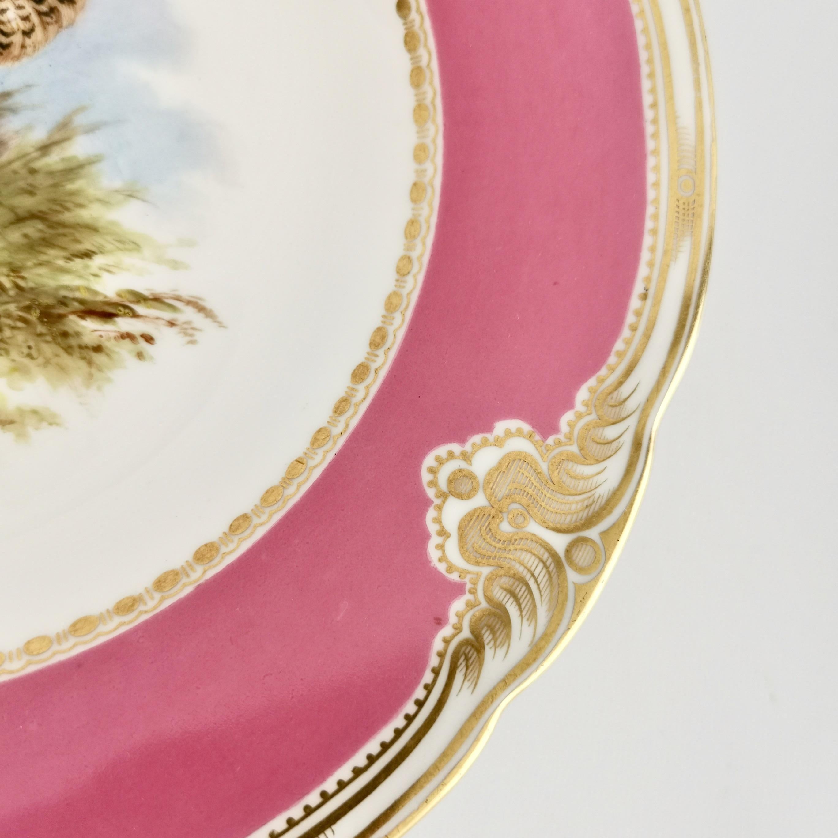 Royal Worcester Pair of Porcelain Comports, Pink with Named Birds, 1852-1862 4