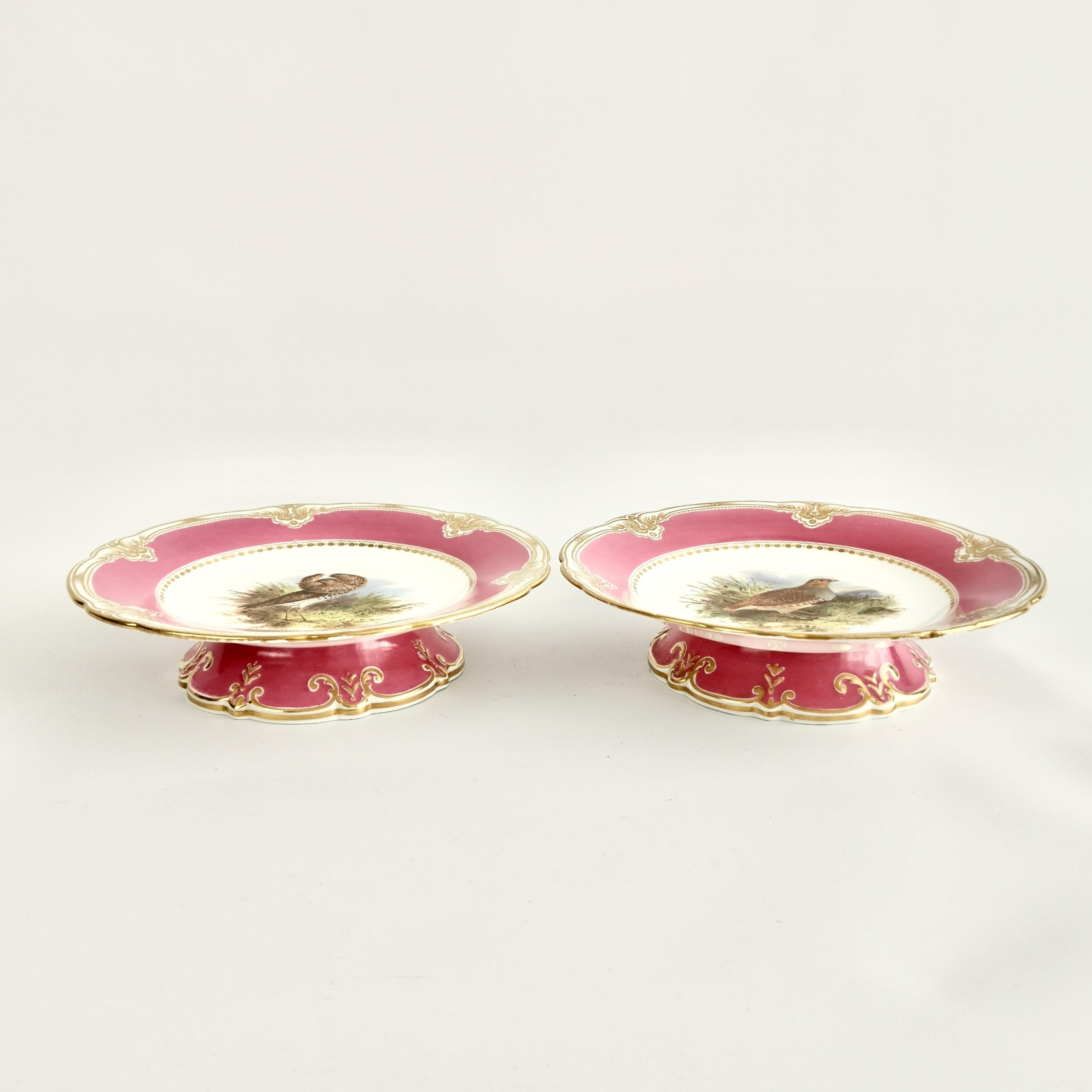 Victorian Royal Worcester Pair of Porcelain Comports, Pink with Named Birds, 1852-1862