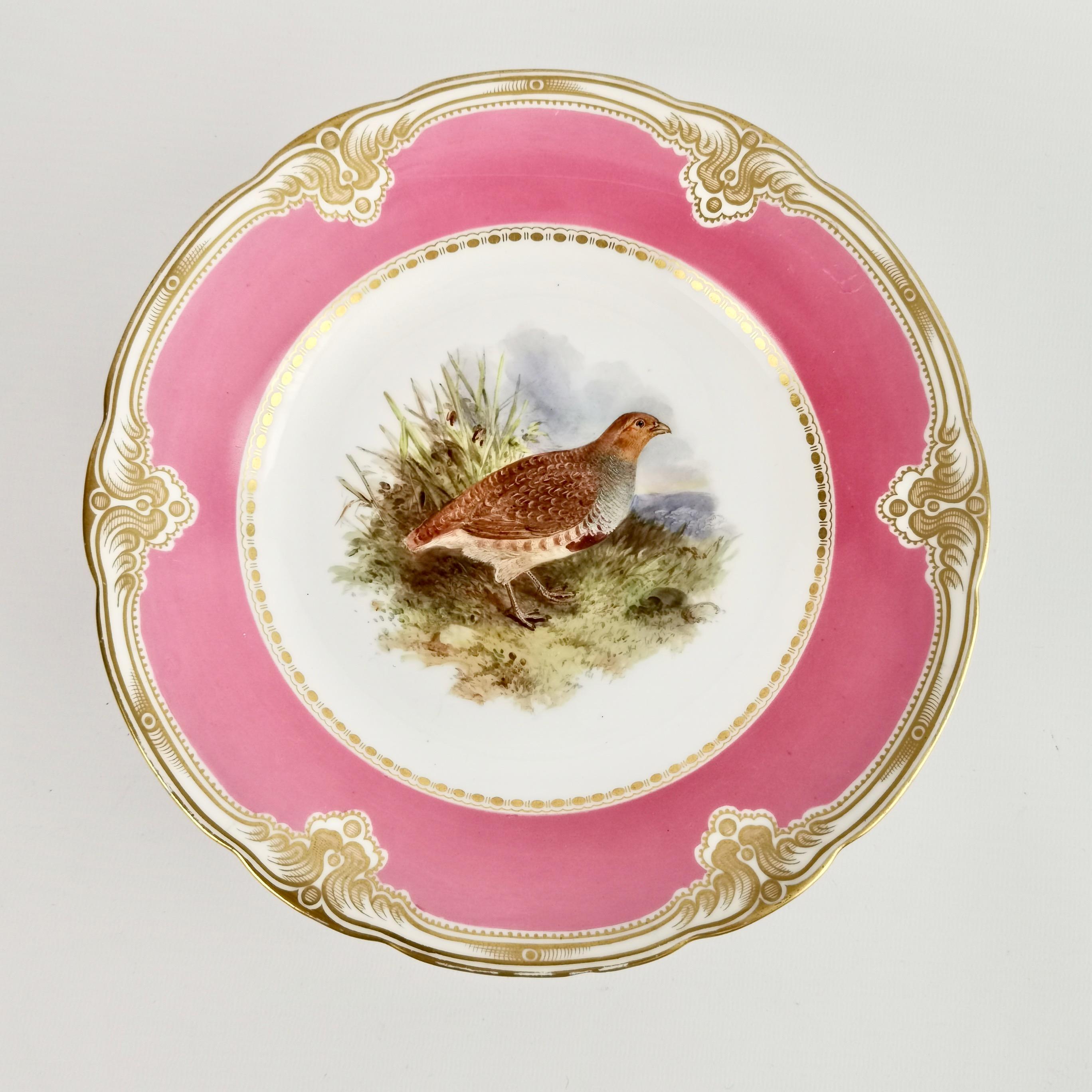 English Royal Worcester Pair of Porcelain Comports, Pink with Named Birds, 1852-1862