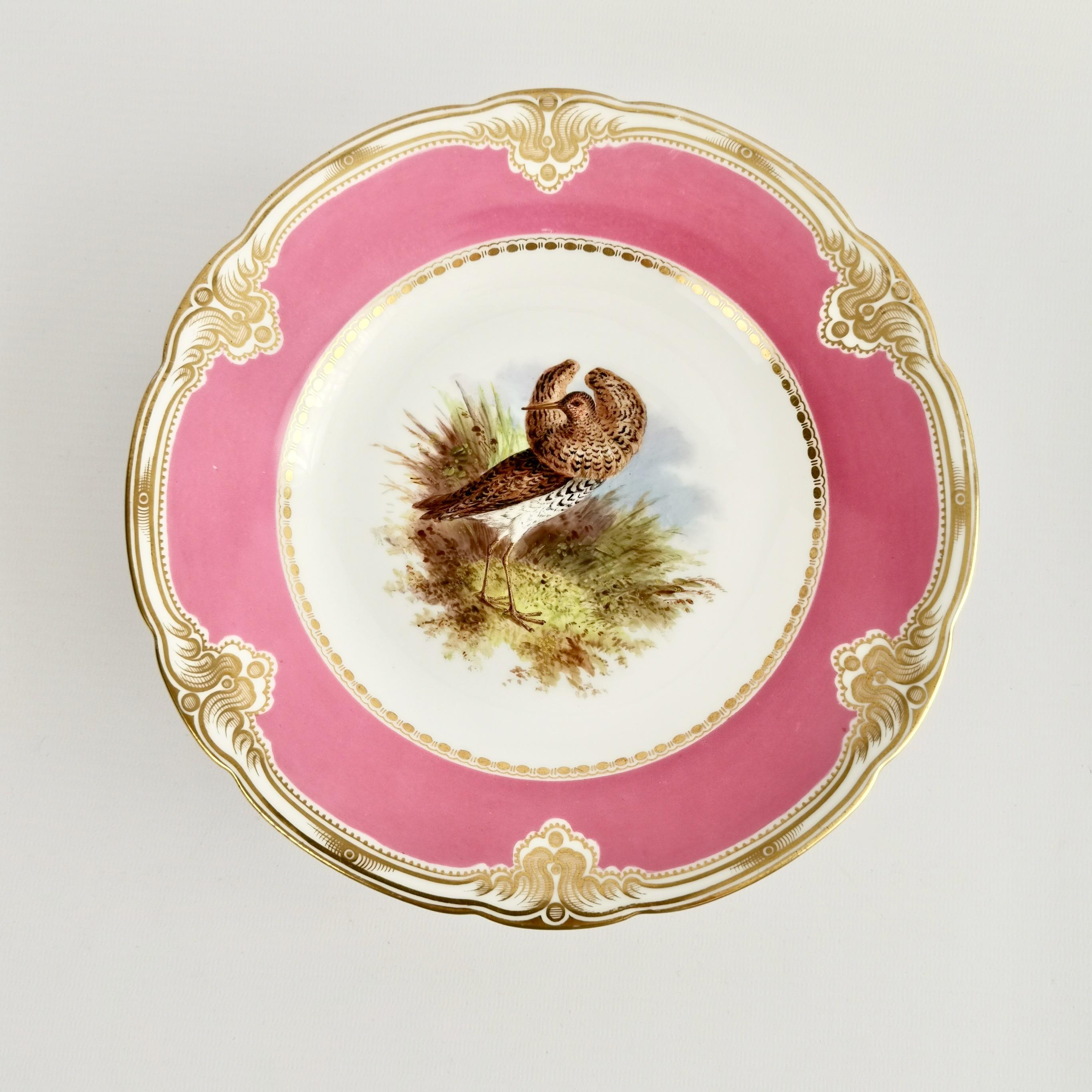 Hand-Painted Royal Worcester Pair of Porcelain Comports, Pink with Named Birds, 1852-1862