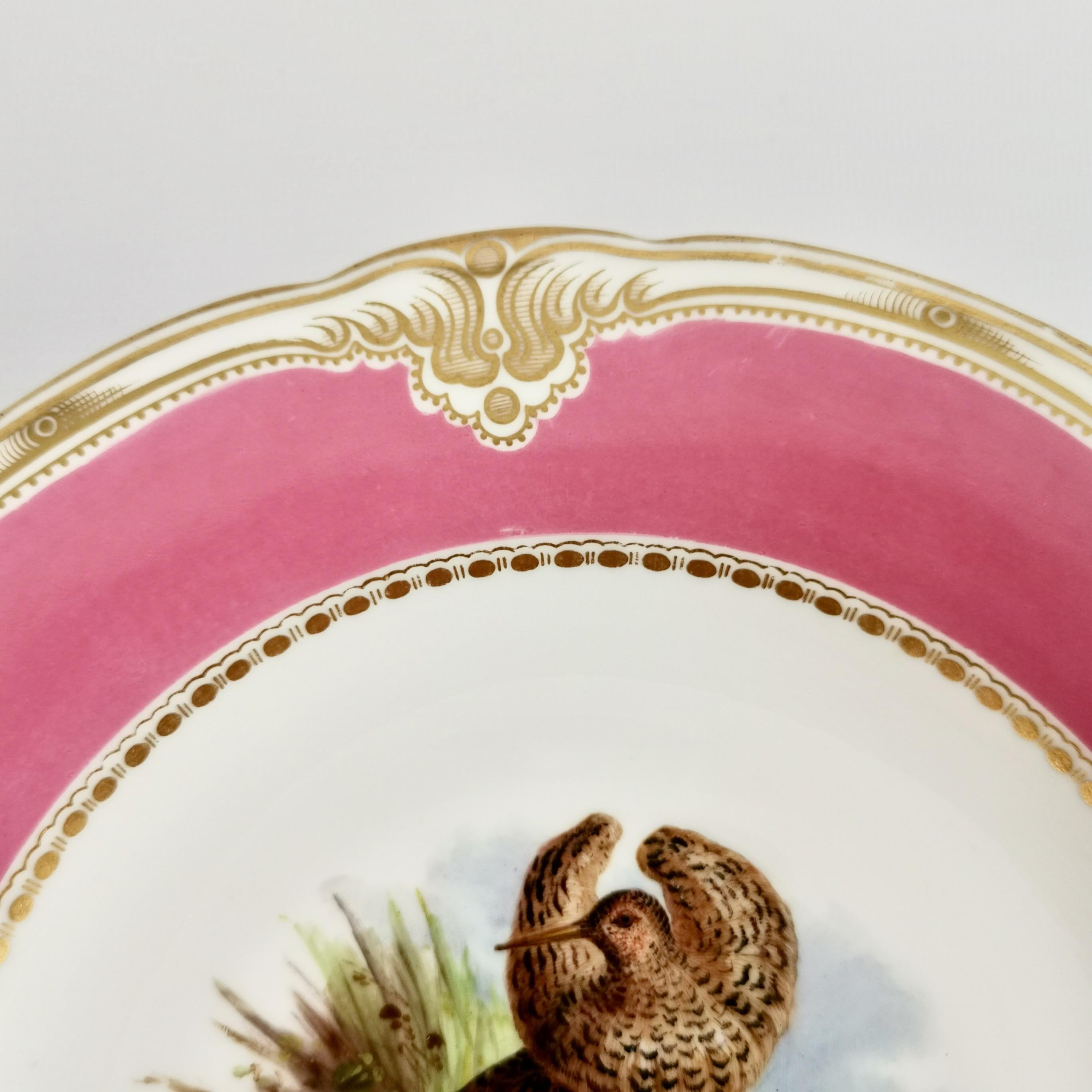 Royal Worcester Pair of Porcelain Comports, Pink with Named Birds, 1852-1862 2