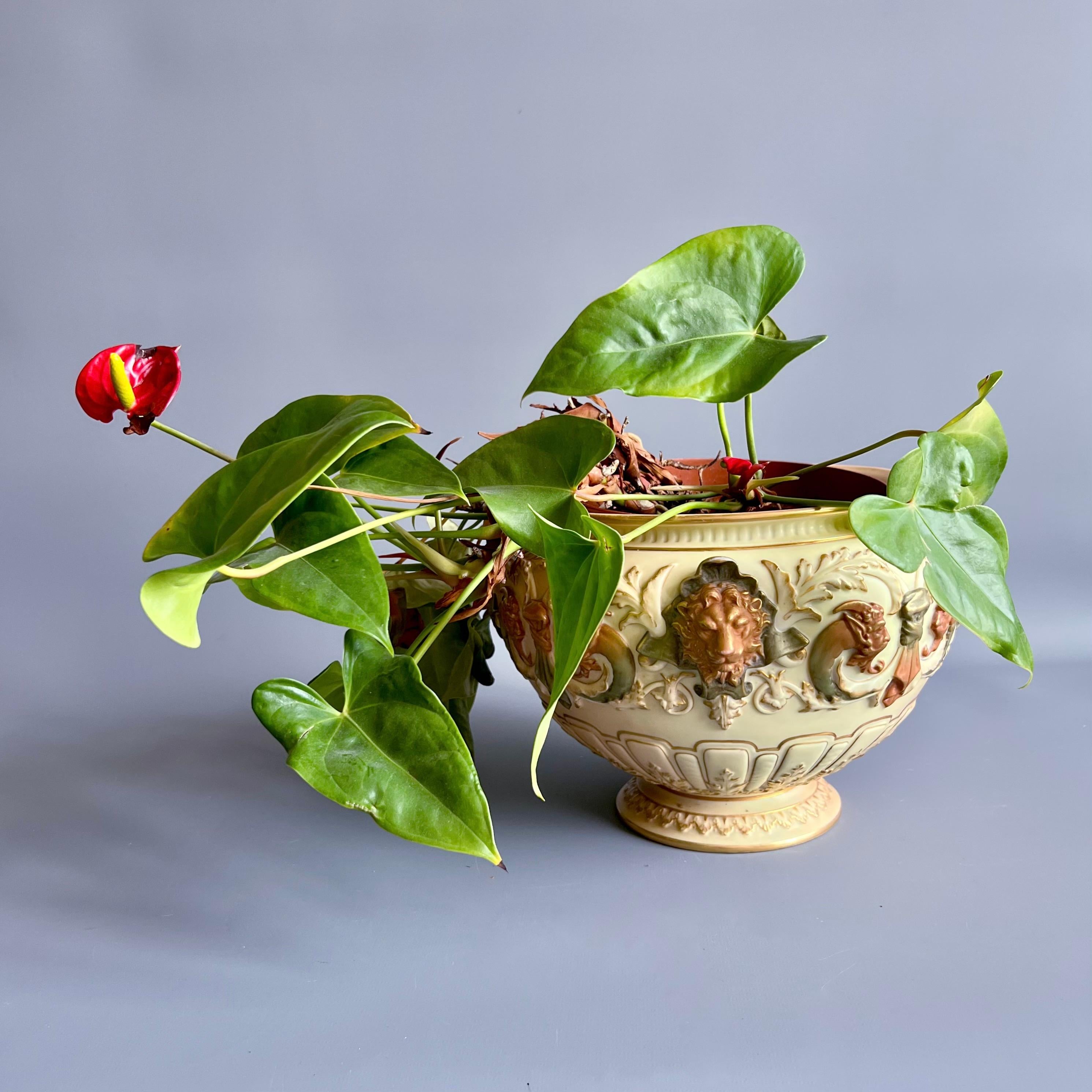 This is a superb jardiniere, or large plant pot, made by Royal Worcester in the year 1901. The jardiniere has a blush ivory ground with stunning moulding containing masks of lion heads and satyrs, picked out in gilt.

Jardinieres were used for large