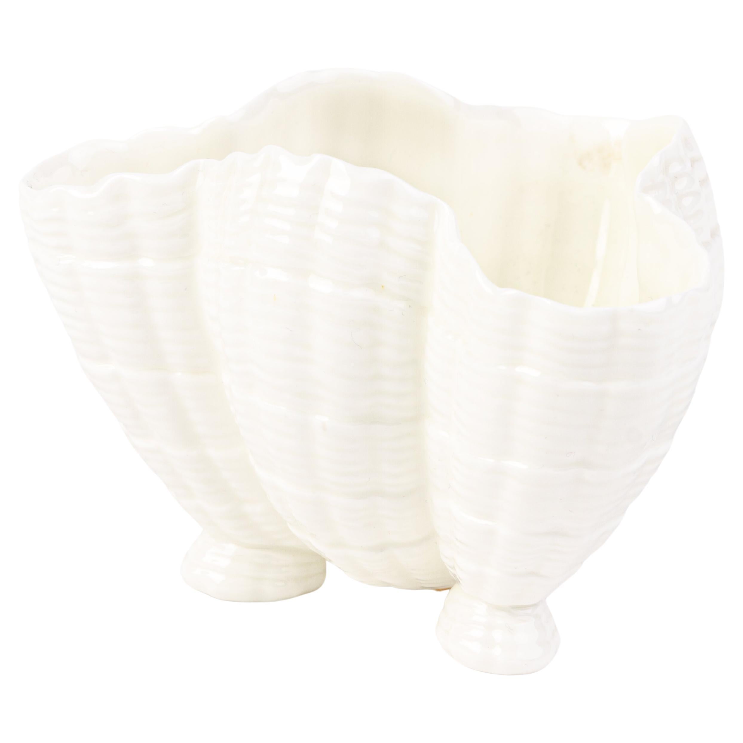 Royal Worcester Porcelain Nautilus Shell Sugar Bowl For Sale