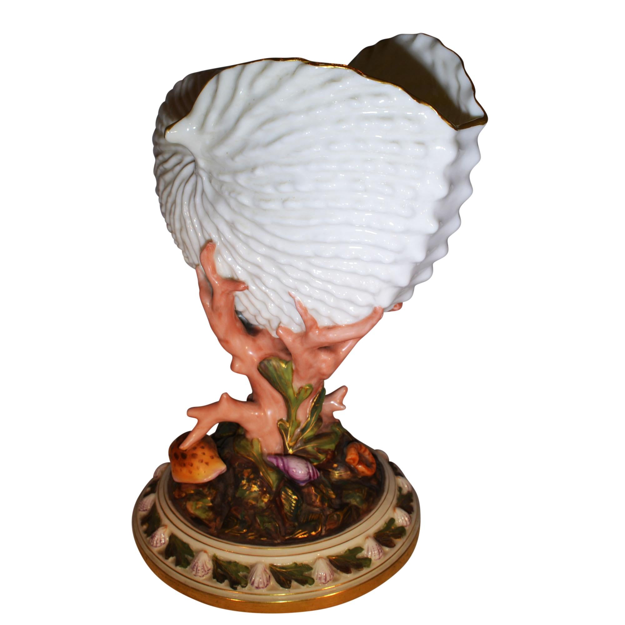 Very unique nautilus shell vase of Royal Worcester porcelain.
