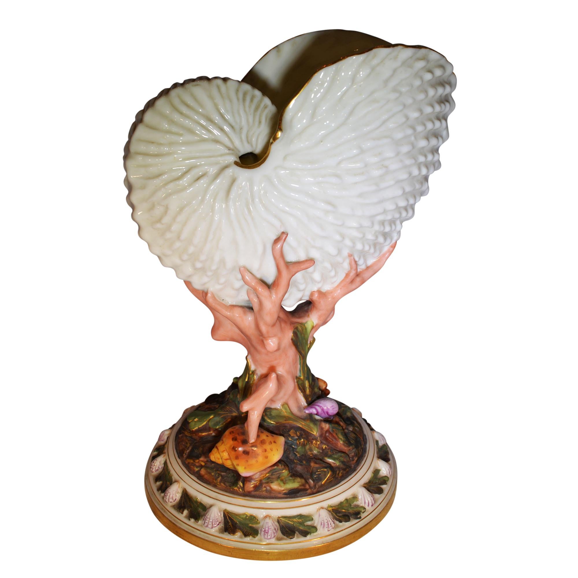 royal worcester nautilus shell vase