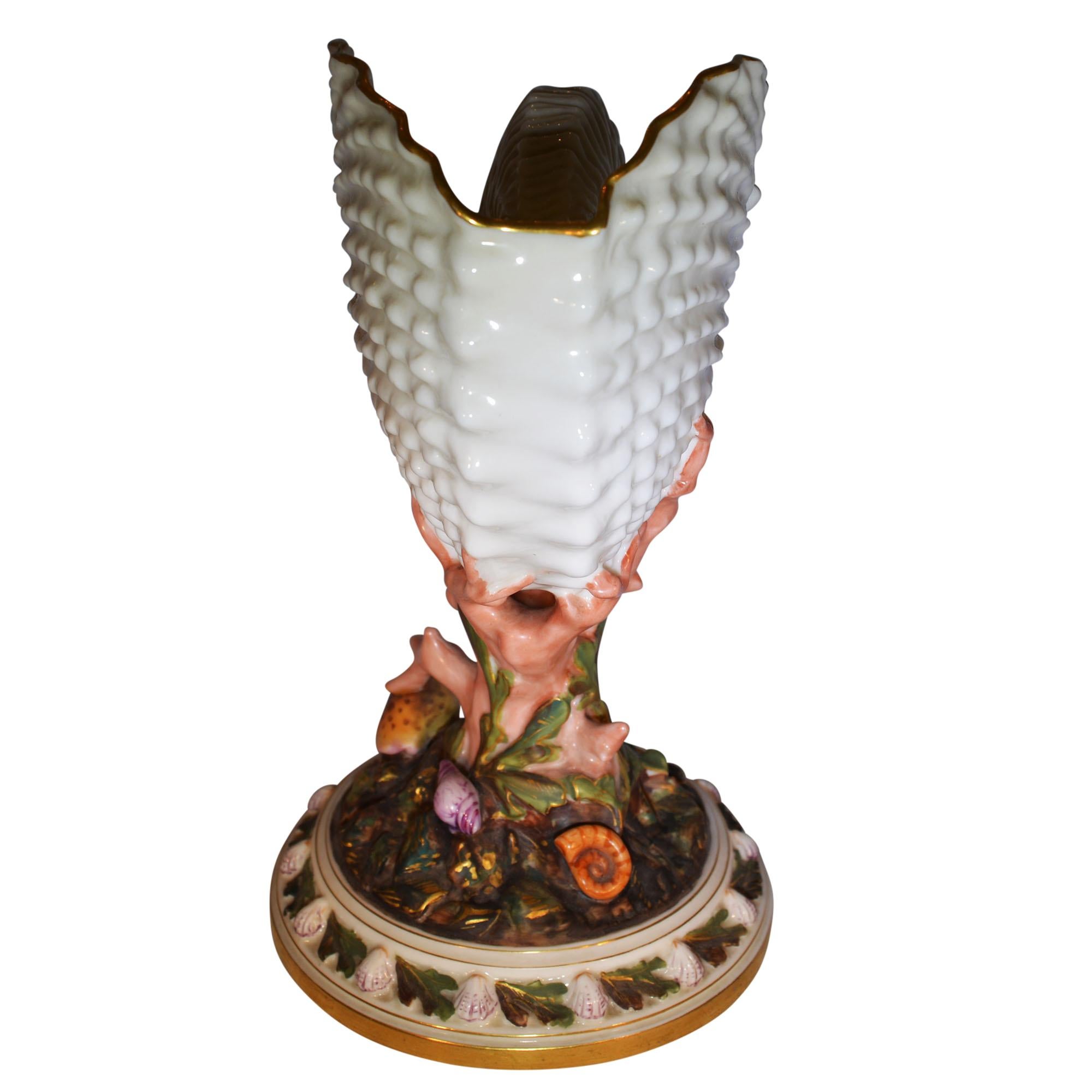 Late 19th Century Royal Worcester Porcelain Nautilus Shell Vase For Sale