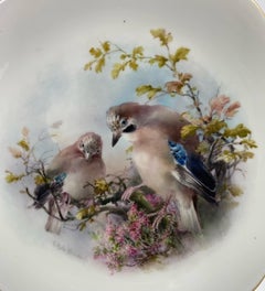 Royal Worcester Porcelain Plate. Birds, by C.H.C. Baldwyn, Dated 1908