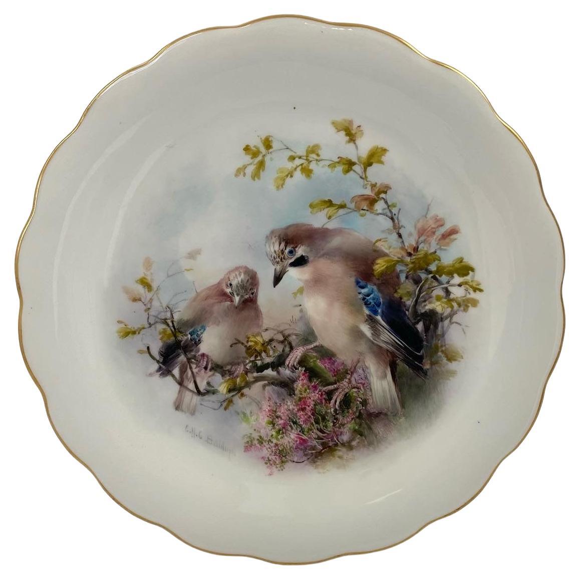 Royal Worcester Porcelain Plate. Birds, by C.H.C. Baldwyn, Dated 1908