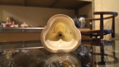 Royal Worcester Porcelain Vase, 1868