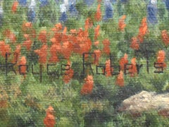 "OAKS AND BLUEBONNET" TEXAS HILL COUNTRY FRAMED 23 X 29