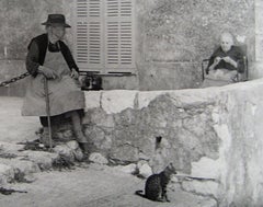 Cat on a Side Street European Scene 1960s Black and White Photograph