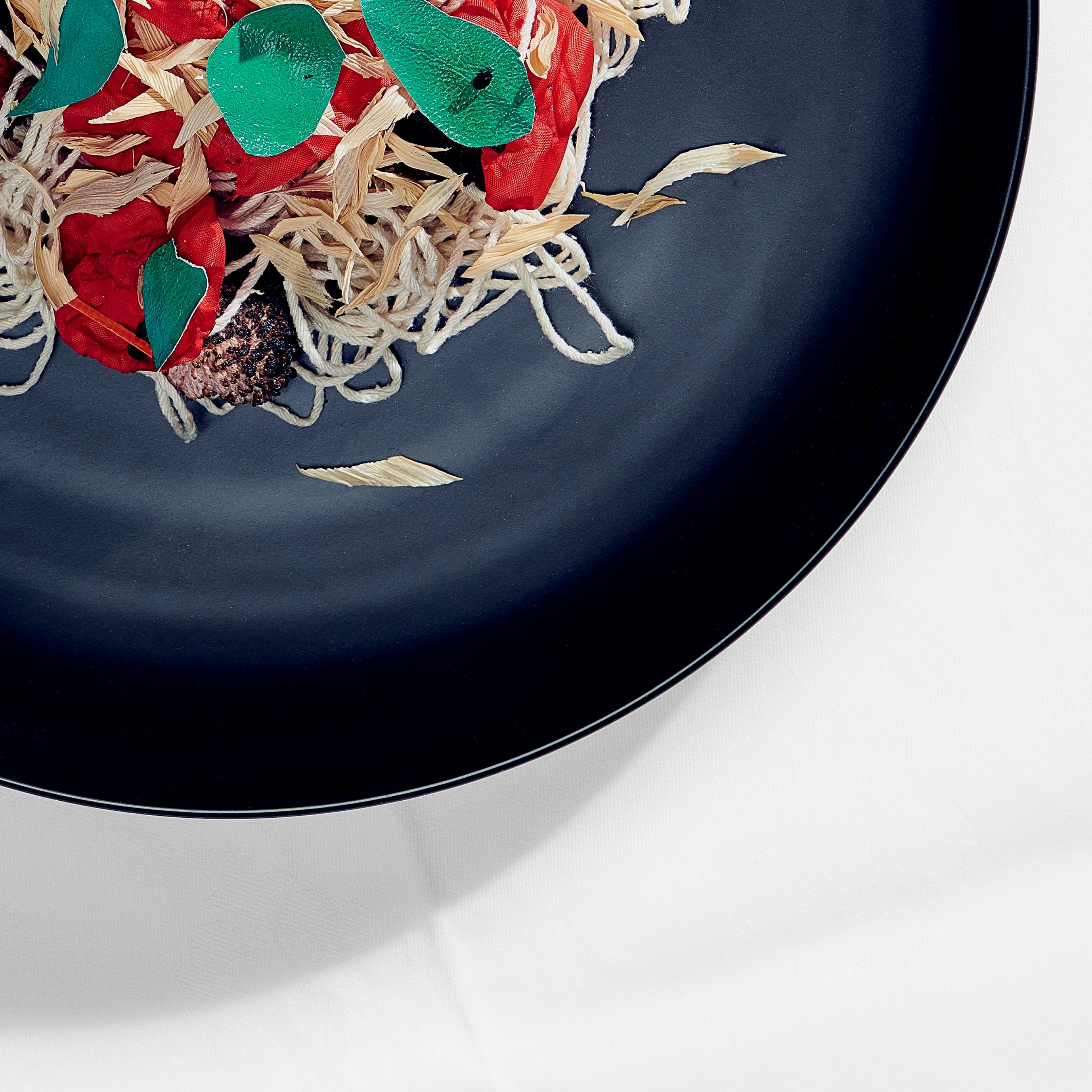 Photograph on C print.
The Spaghetti is made from rest over waste ingredients found a recycle waste facility in Rotterdam. Rubdish is a conceptual visualization of waste finding it’sway back onto your plate. It is the transformation of rubbish into