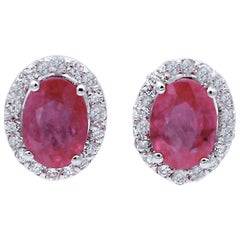 Rubies, Diamonds, 18 Karat White Gold Stud Earrings Rubies, Diamonds, 18 Karat White Gold Stud Earrings