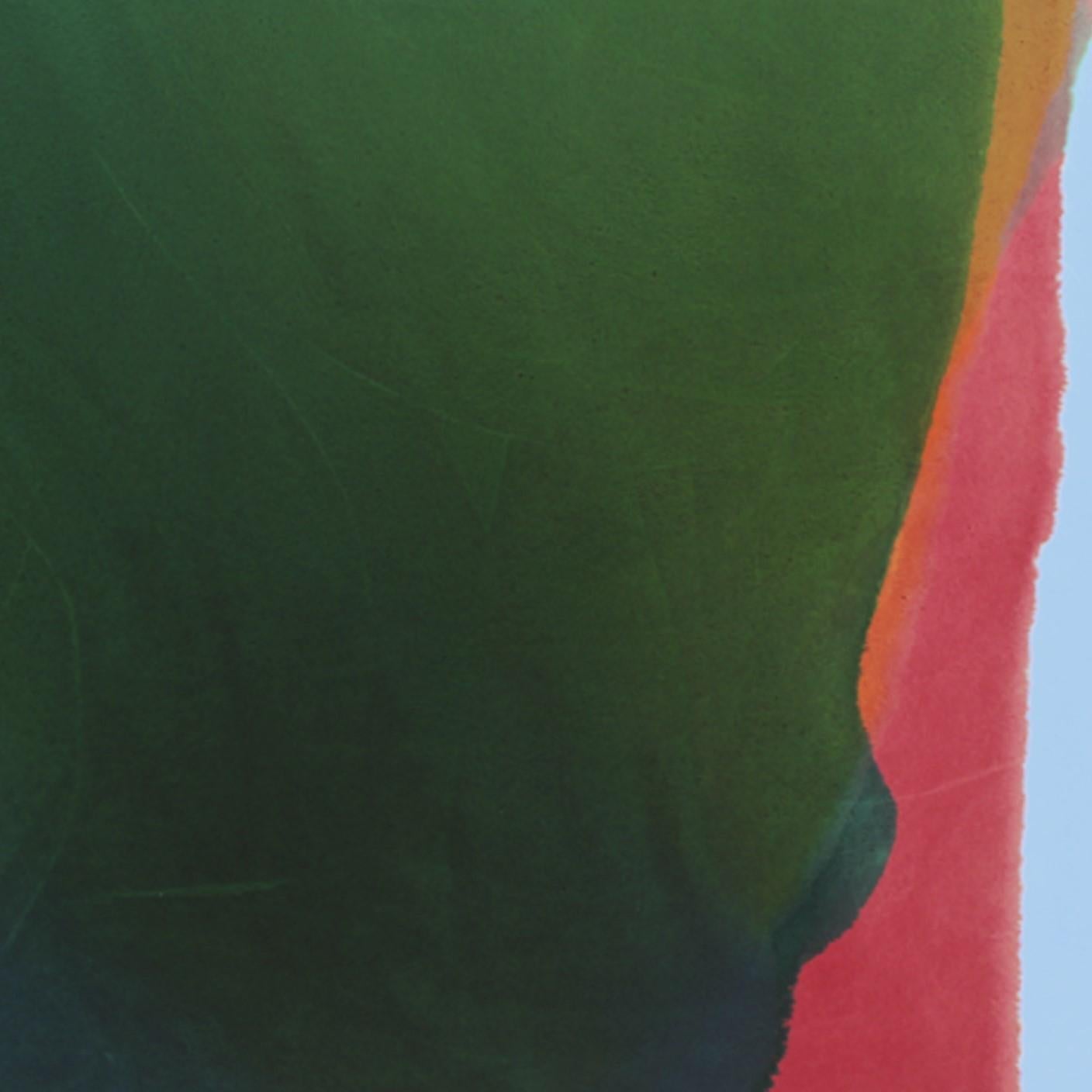 Rubén Rodrigo – “Derrière le Viridien”, 2020 For Sale 4
