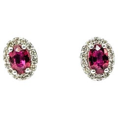 Ruby & Diamond Stud Earrings in 14k White Gold