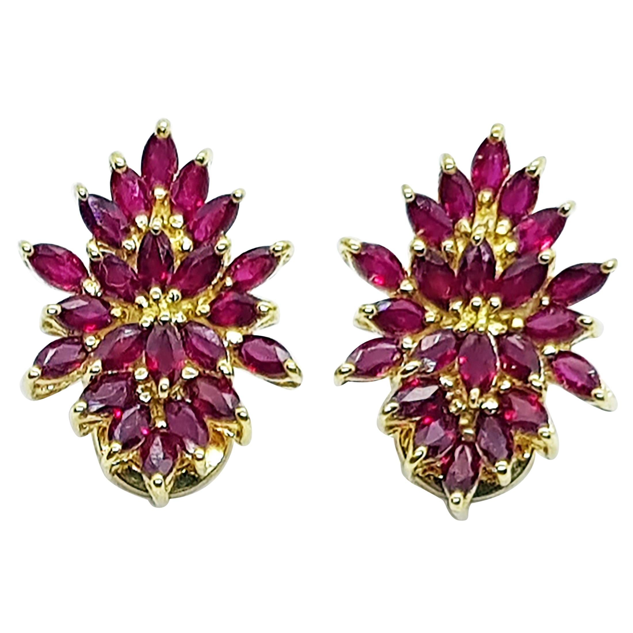 Ruby Earrings Set in 18 Karat Gold Settings For Sale