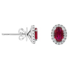 Boucles d'oreilles Halo en rubis