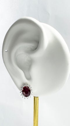 Ruby with Diamond Earrings set in 18K White Gold Settings