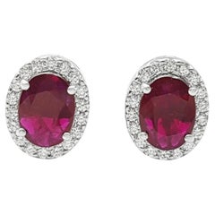 Stud Earrings