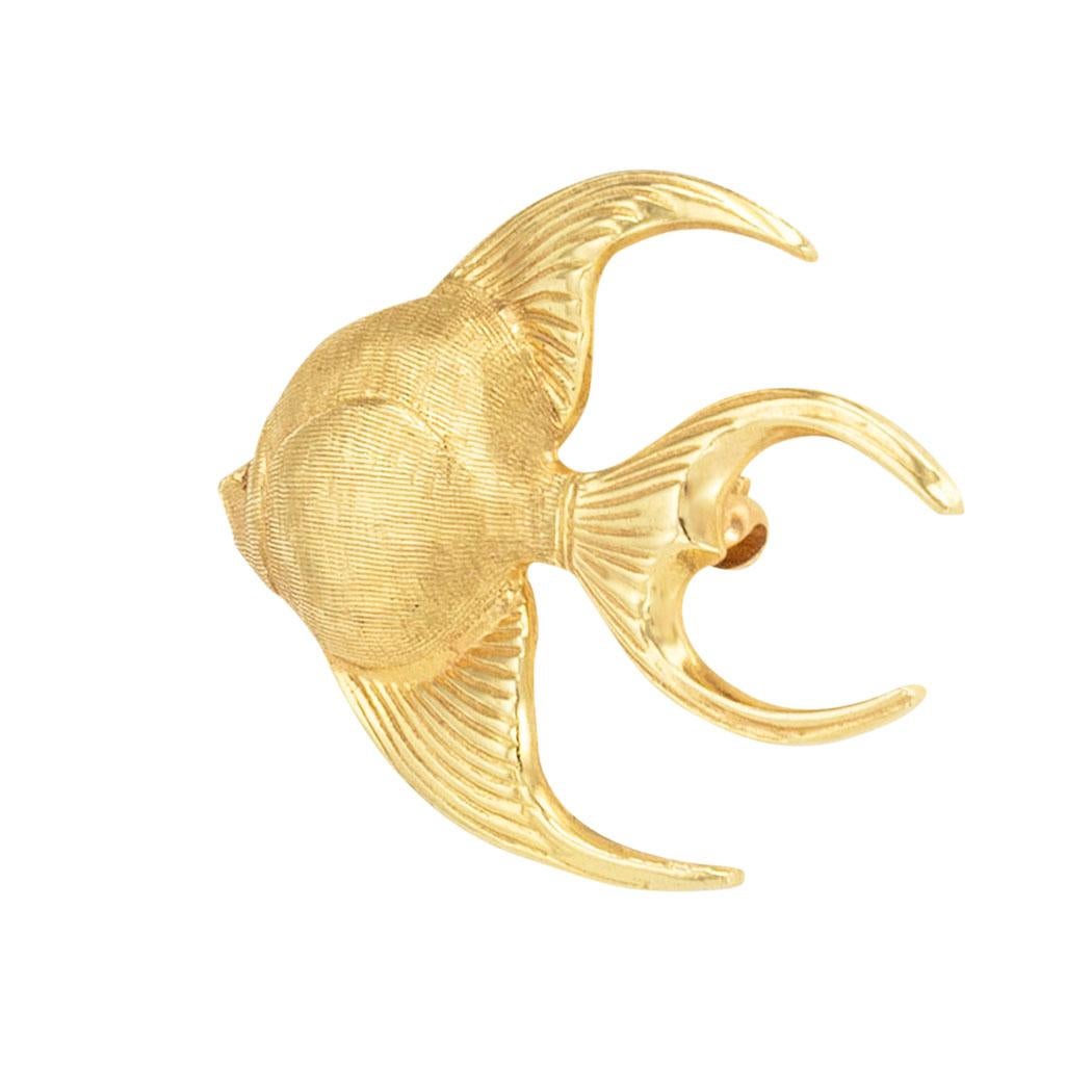 angelfish gold