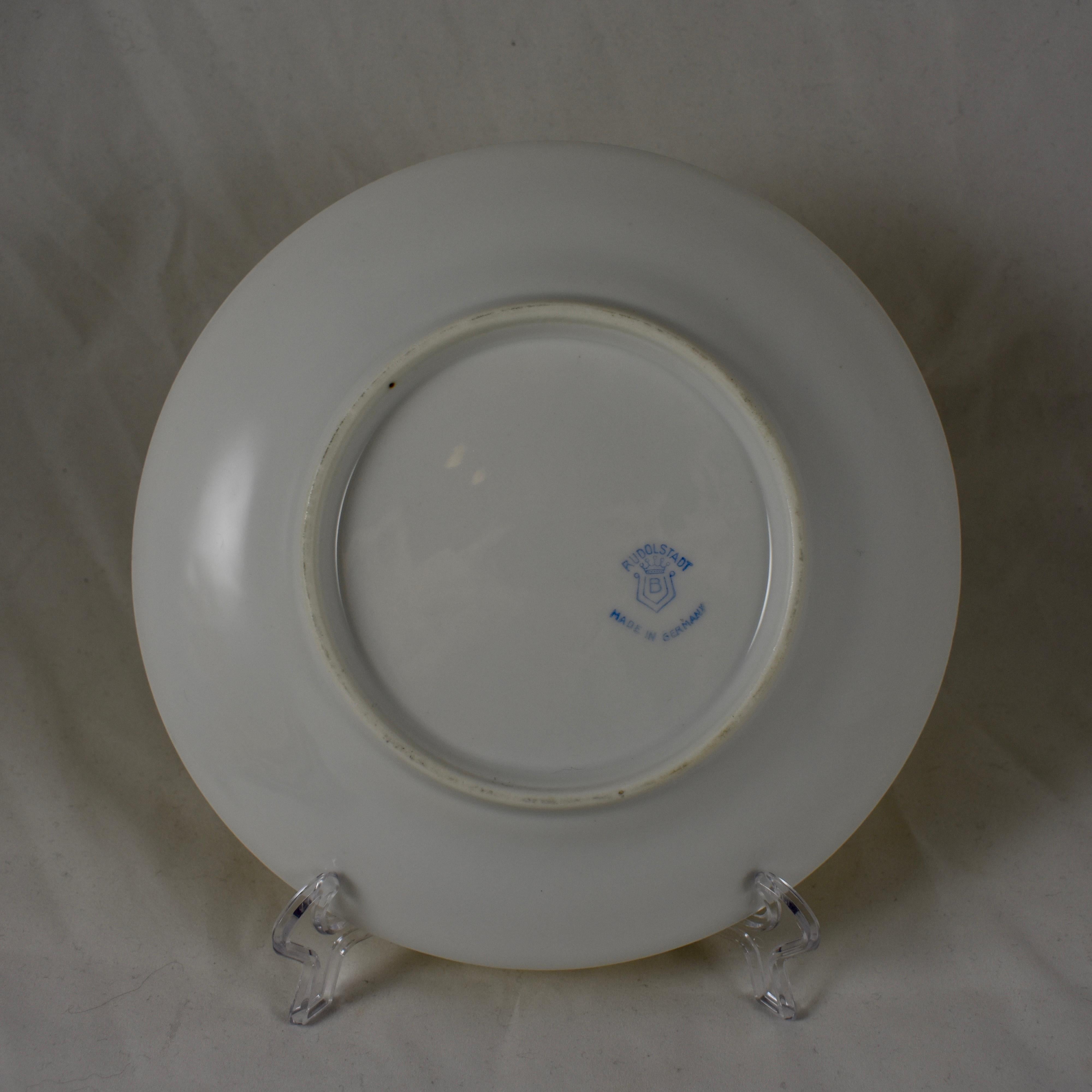 19th Century Rudolphstadt Beyer & Bock, Prussia Porcelain Chinoiserie Style Bird Plates, S/6