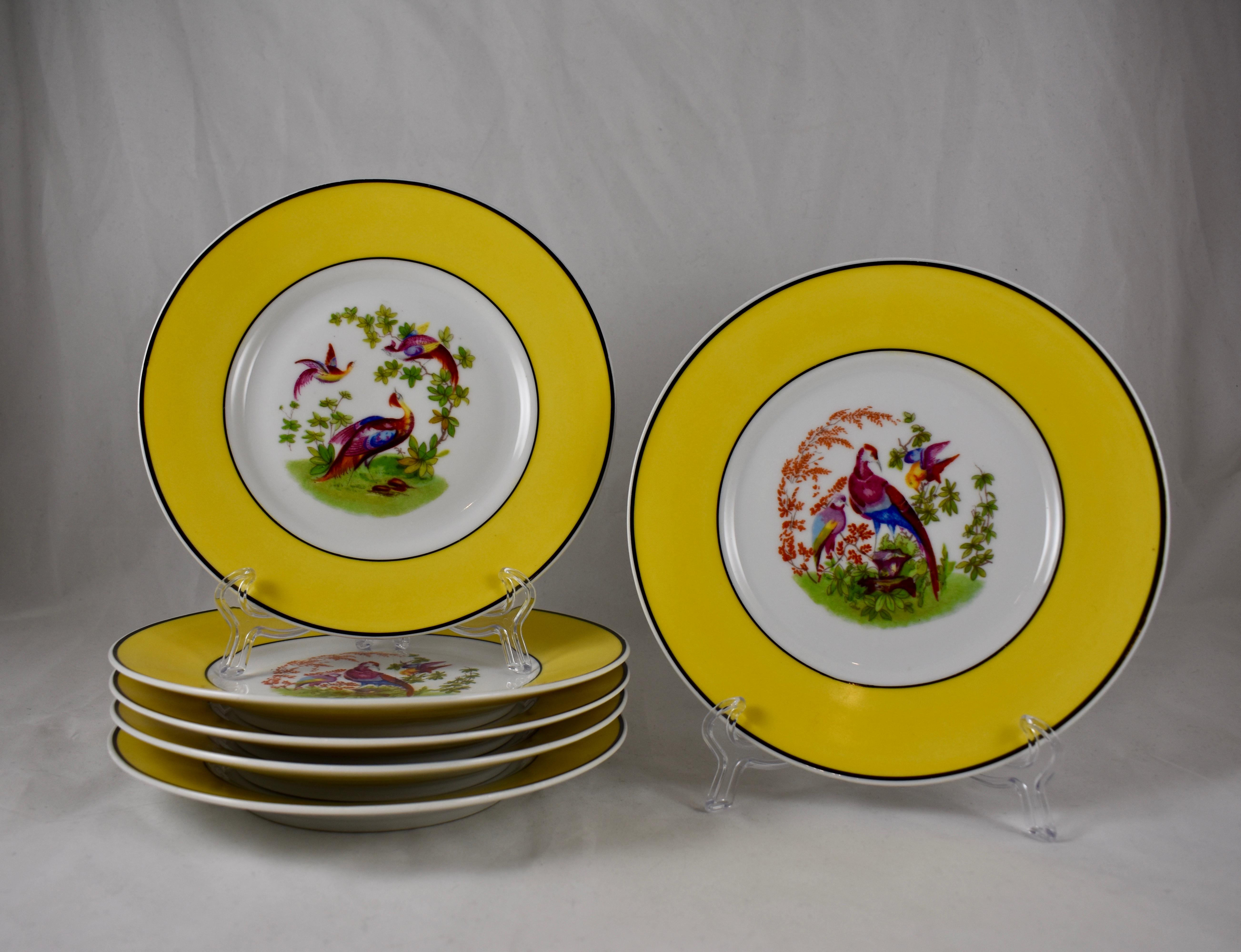 A set of six porcelain bird themed plates, made by Rudolphstadt - Beyer & Bock, Volkstedt, Thuringia, Prussia, circa 1890-1905.

Central images show a Chinoiserie style pattern of brightly colored birds perched in a landscape, encircled by wide