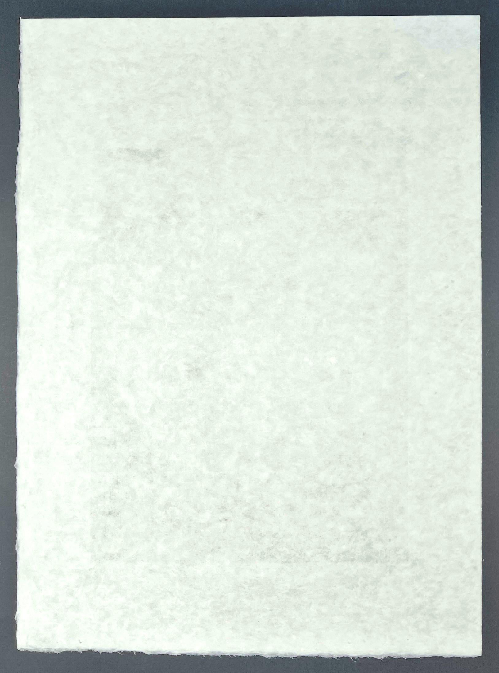 Rufino Tamayo (1899-1991) - Coloured lithograph on Japanese paper - 1972 5