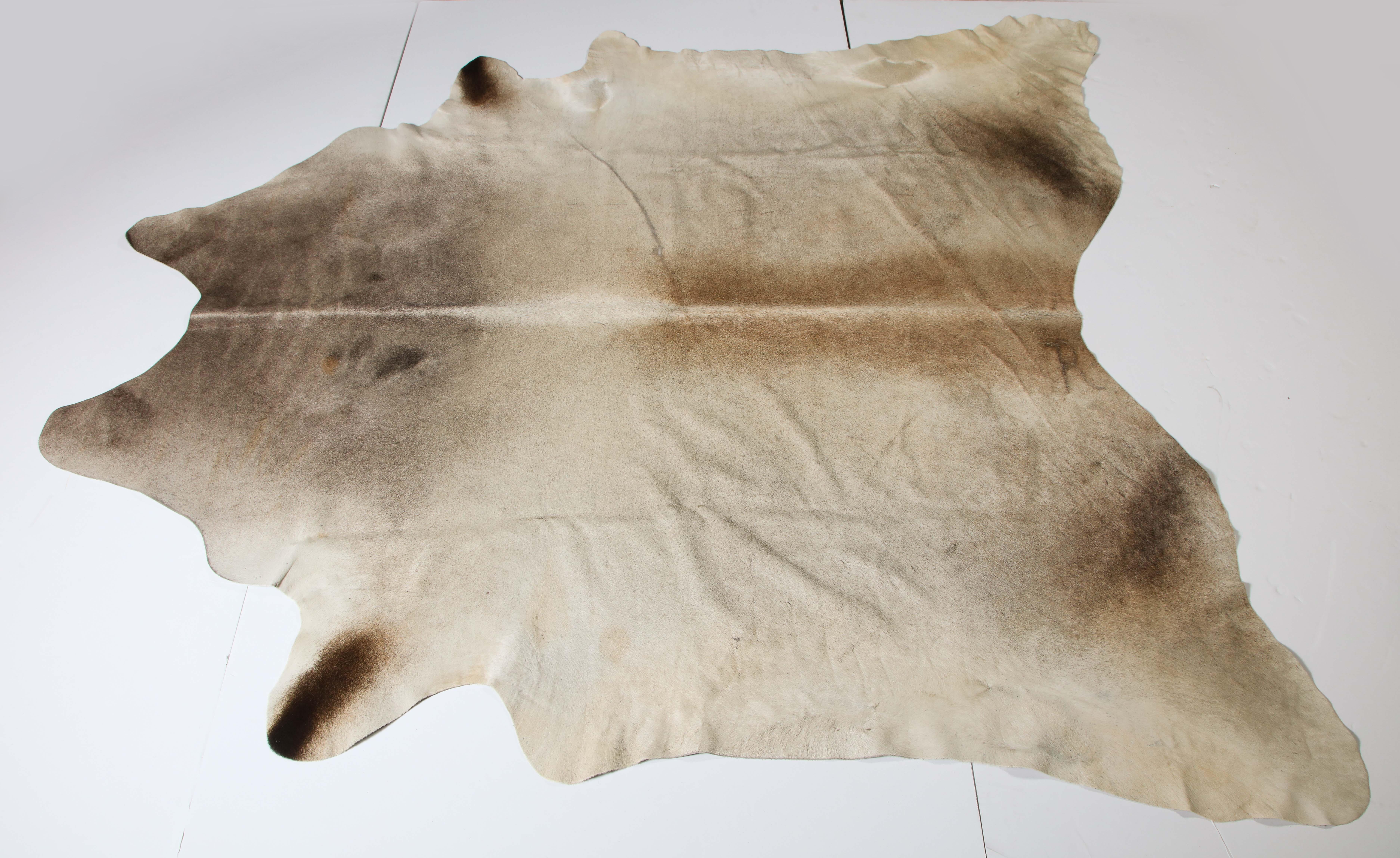 Cow hide, slightly used. 
If you measure from leg to leg, it measures 110 inches in one direction and 108 inches in the other direction.