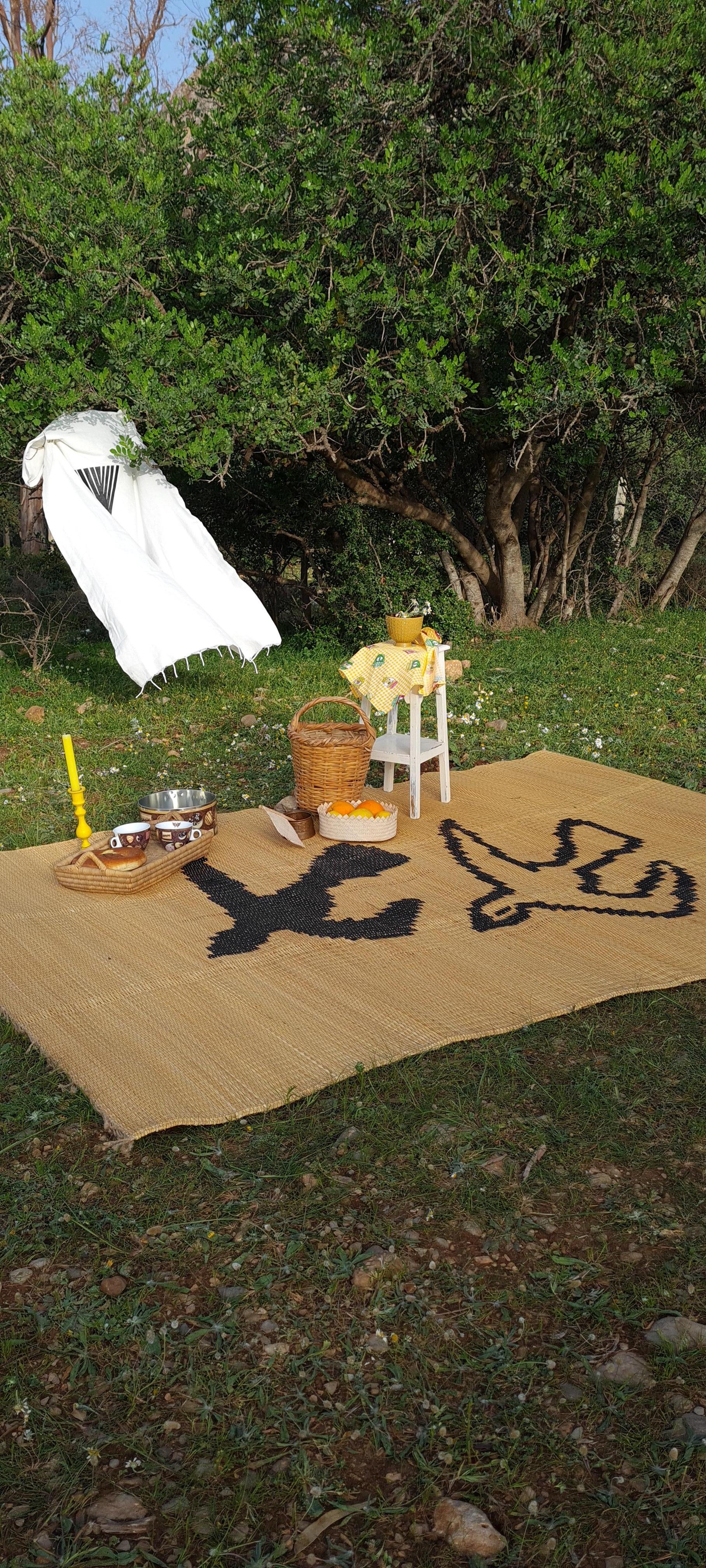 Outdoor Rug in Natural Fiber for Contemporary house with Eco-Friendly Charm. For Sale 2