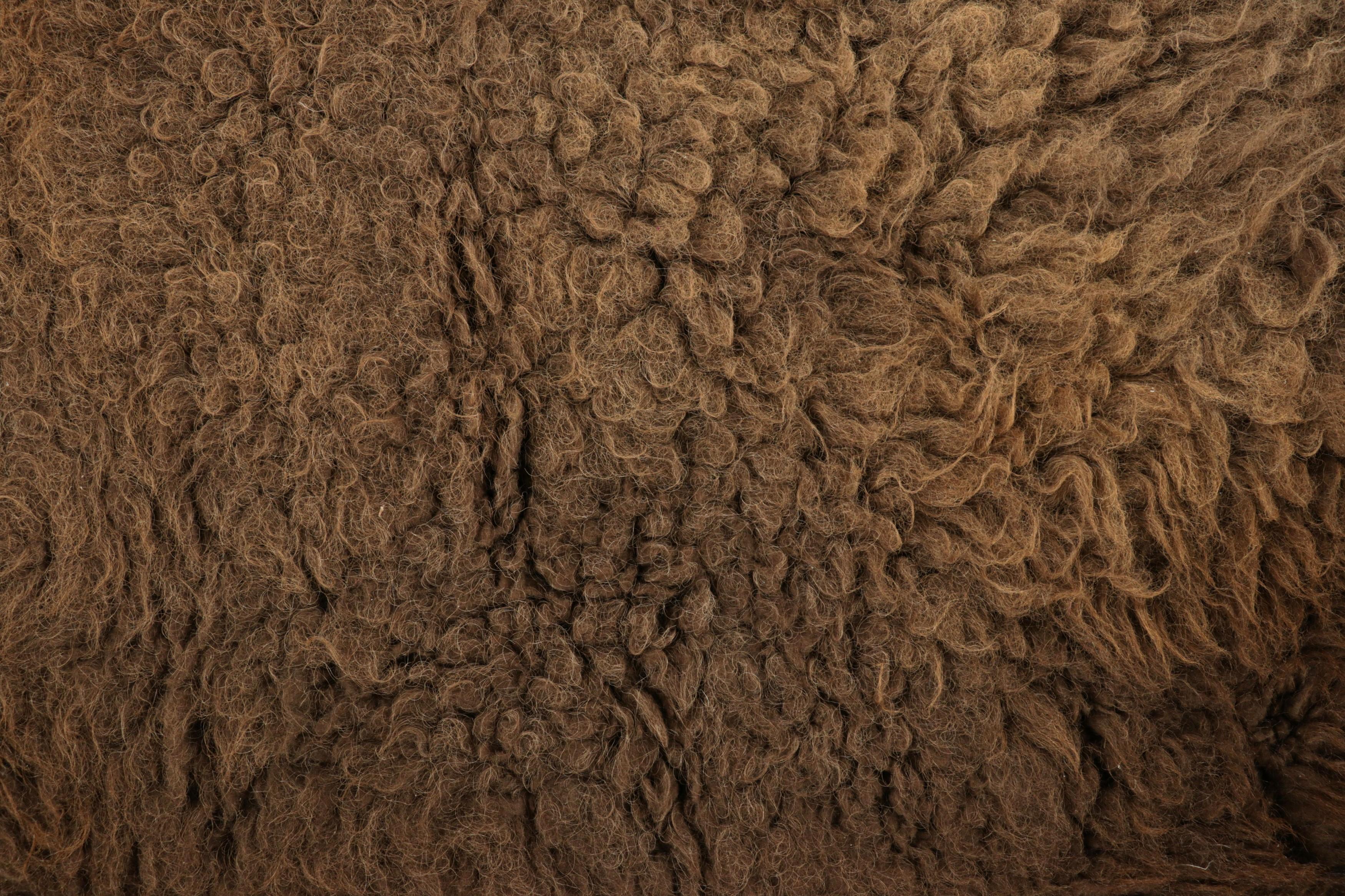Hand-Knotted Rug & Kilim’s American Bison Hide Fur Rug in Chocolate Brown Tones For Sale